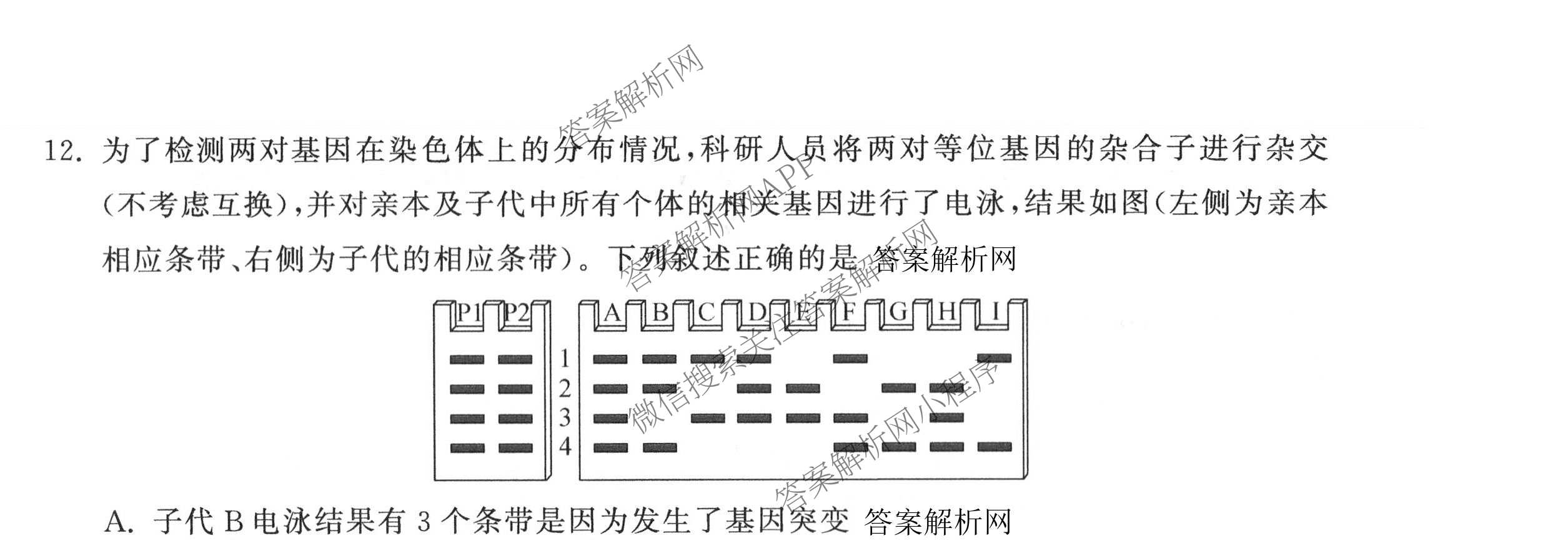 天舟高考衡中同卷2026年普通高等学校招生全国统一考试模拟信息卷(三)3（含历史(HJ)、数学(B)、文综(新疆版)等）生物试题