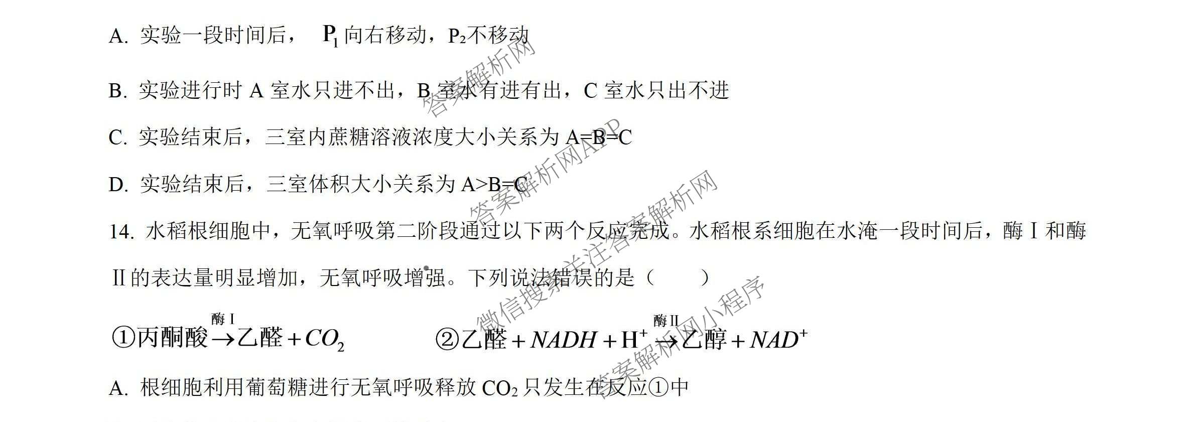 炎德英才名校联合体湖南省雅礼中学2027届高三入学检测一(27H)各科答案及试卷（9科全）生物试题