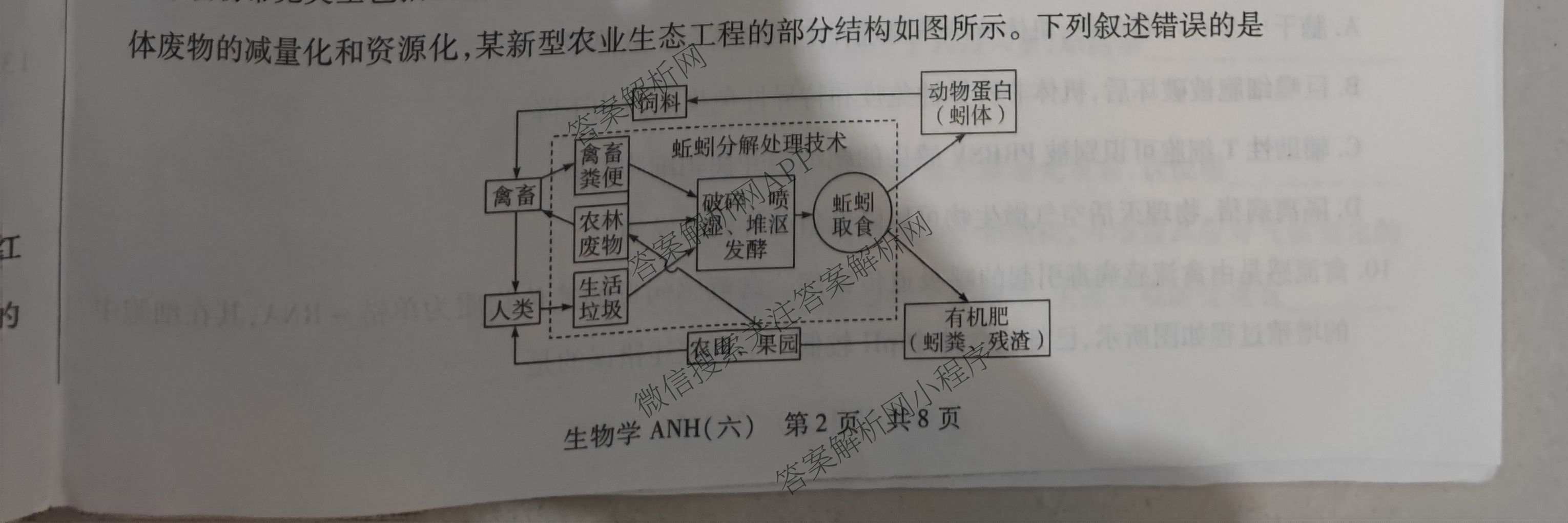 天一大联考2026届高三冲刺(六)6（含物理(SHX) 物理(ANH) 化学(ANH)等27份）生物试题