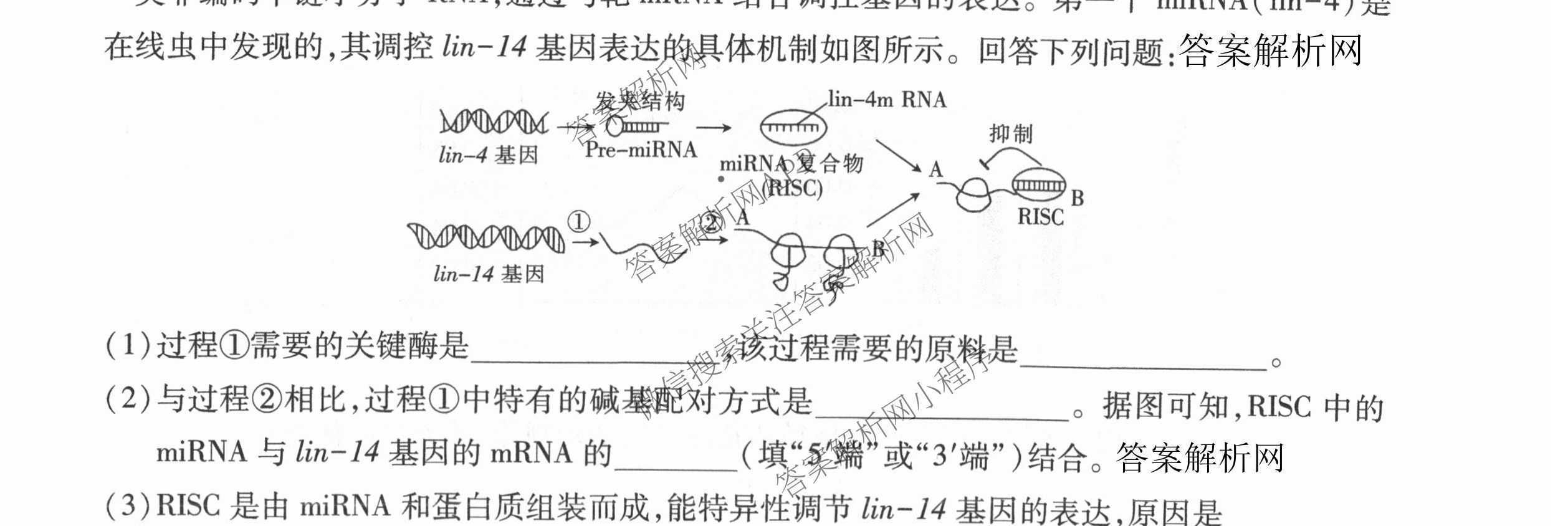 智慧上进2026届高三总复双向达标月考调研卷(六)6试卷及答案汇总（含化学(HEN) 政治 英语(I)等）生物试题