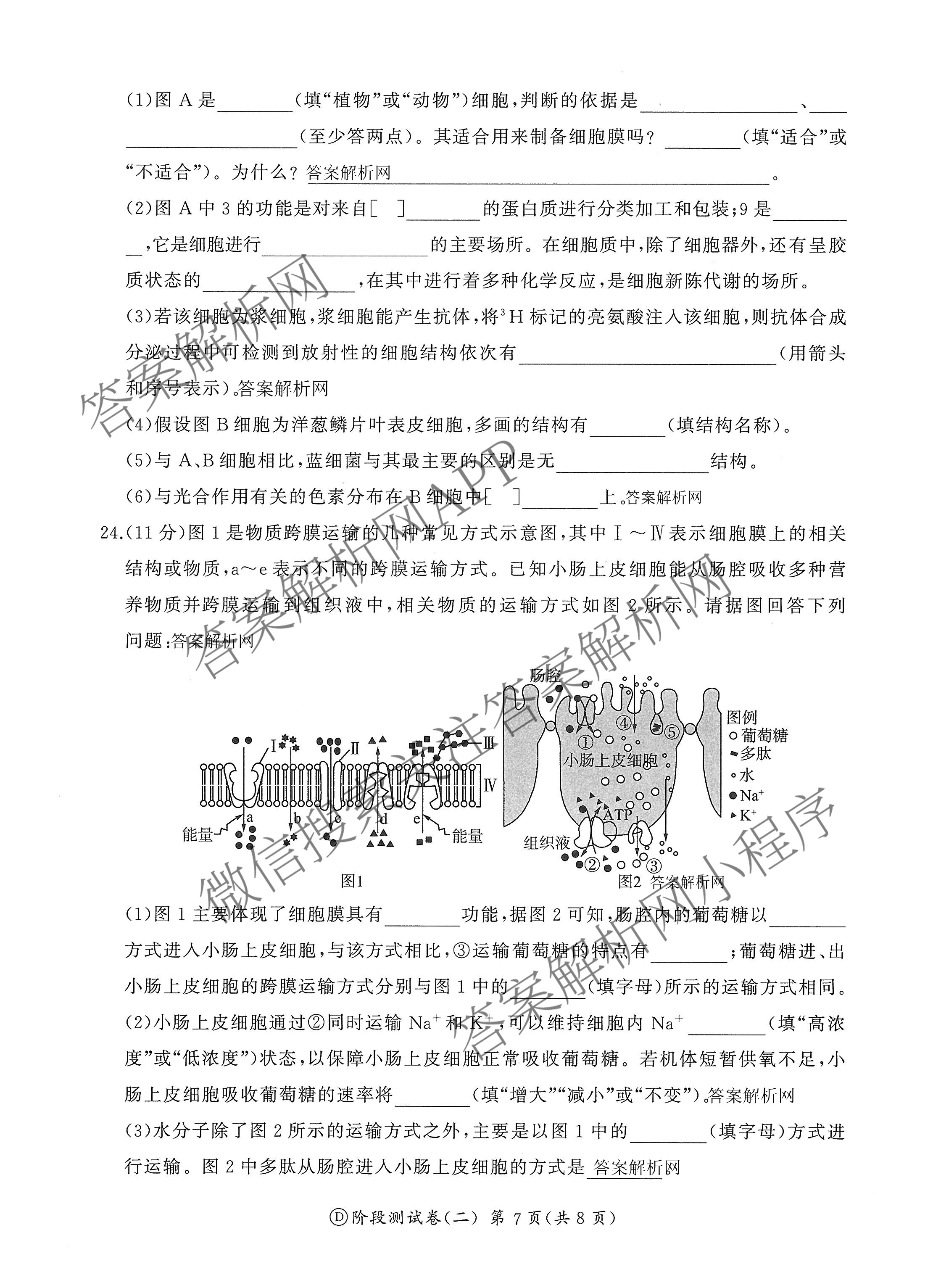 百师联盟2025-2026学年高一上学期阶段测试卷(二)2试卷及答案汇总(已更新数学(北师大版) 政治(75分钟) 历史(75分钟)等21份)生物试题 百师联盟2025-2026学年高一上学期阶段测试卷(二)2试卷及答案汇总(已更新数学(北师大版) 政治(75分钟) 历史(75分钟)等21份)生物试题