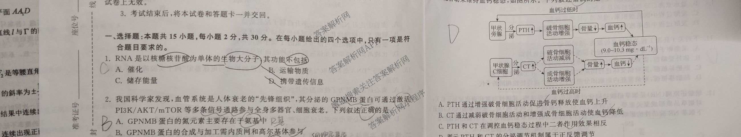 天舟高考衡中同卷2026年普通高等学校招生全国统一考试模拟信息卷(二)2各科答案及试卷（含化学(山东版)、历史(GY)、数学(B)等）生物试题