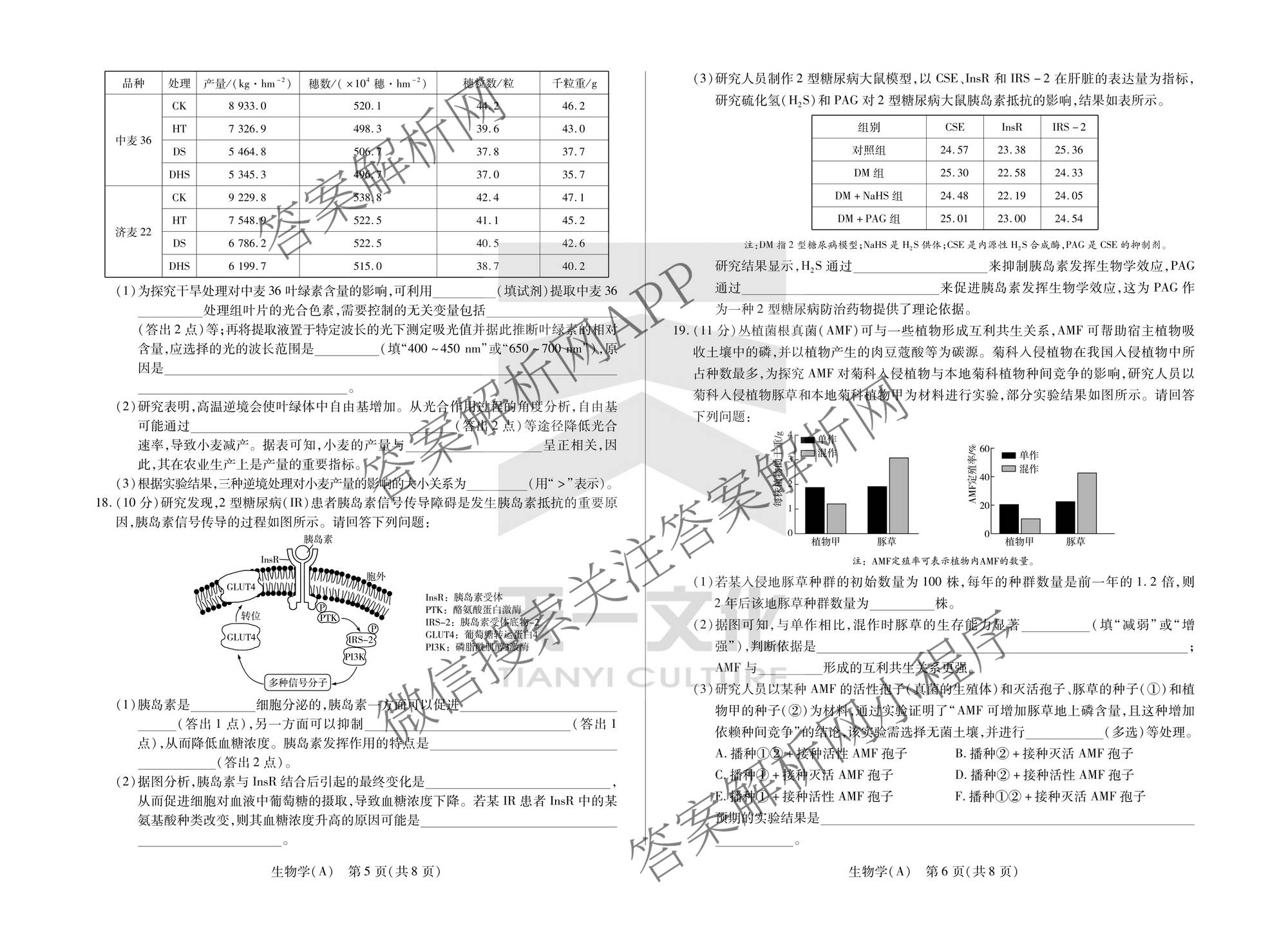 天一大联考2025-2026学年高三3月联考(SHAX202603)(3.5)试卷及答案汇总（含数学(B) 数学 物理等27份）生物试题