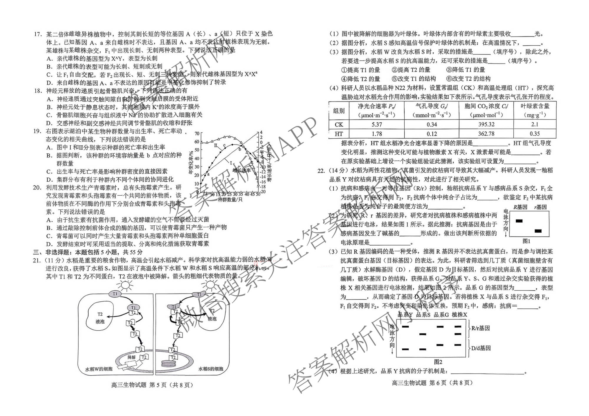山东省菏泽市2026年高三一模考试模拟考试(2026.03)试卷及答案汇总: 含历史、化学、语文试卷解析生物试题