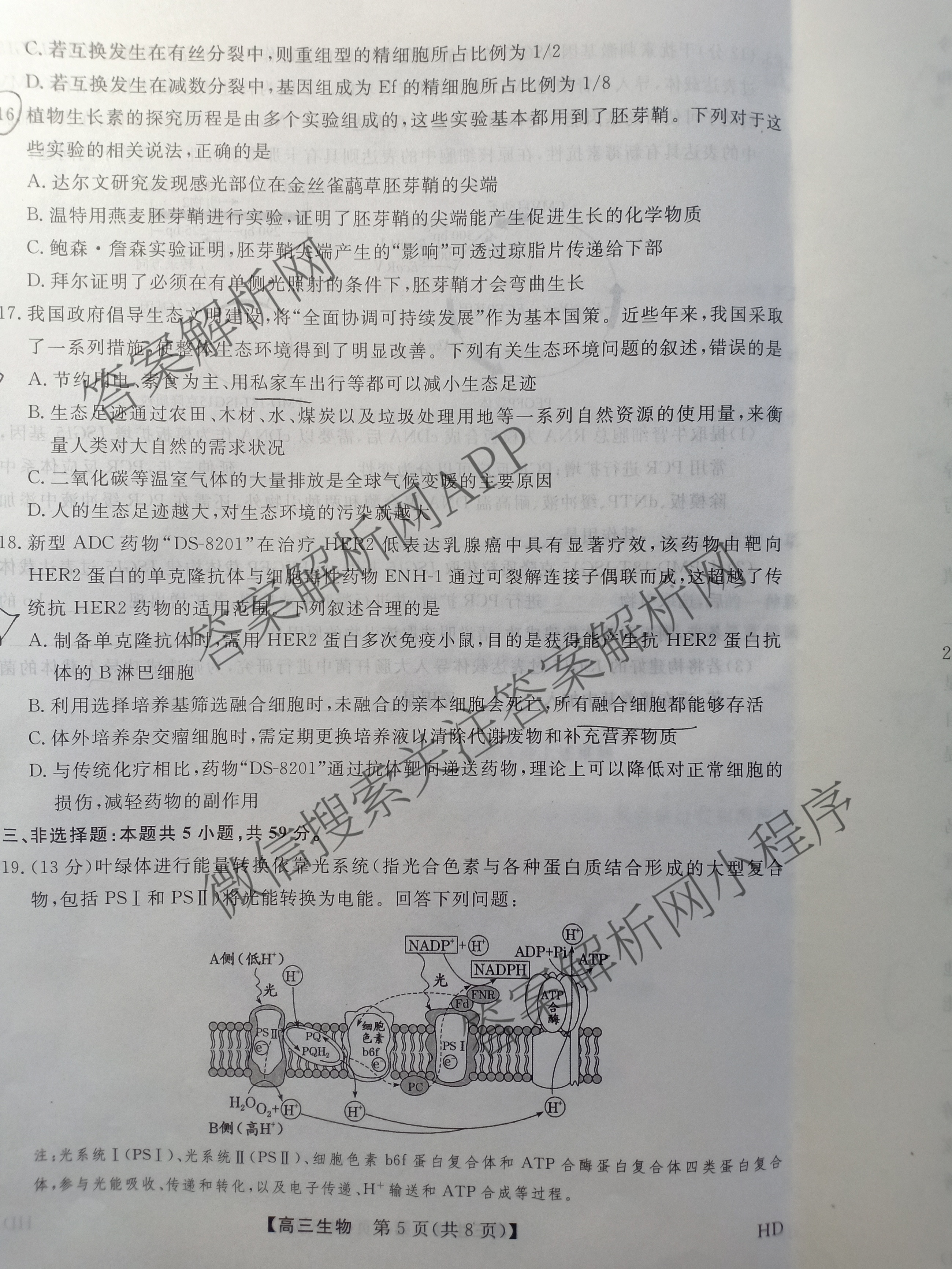 河北省2025-2026学年上学期高三年级12月份考试(HD)各科答案及试卷(已更新生物、地理、物理等9份)生物试题