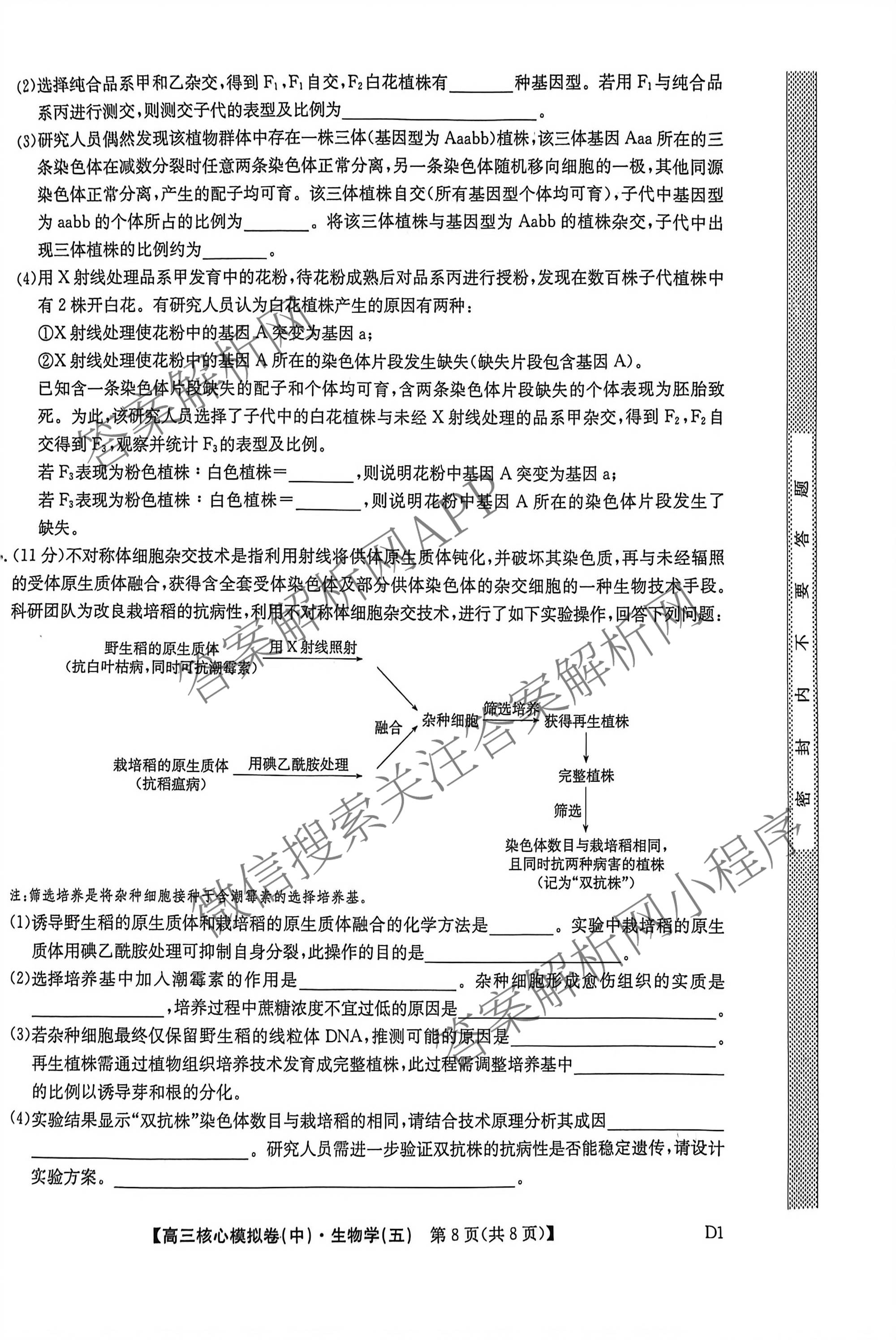 九师联盟2025~2026学年高三核心模拟卷(中)(五)各科答案及试卷（含历史(D2) 政治(B) 政治(D2)等）生物试题