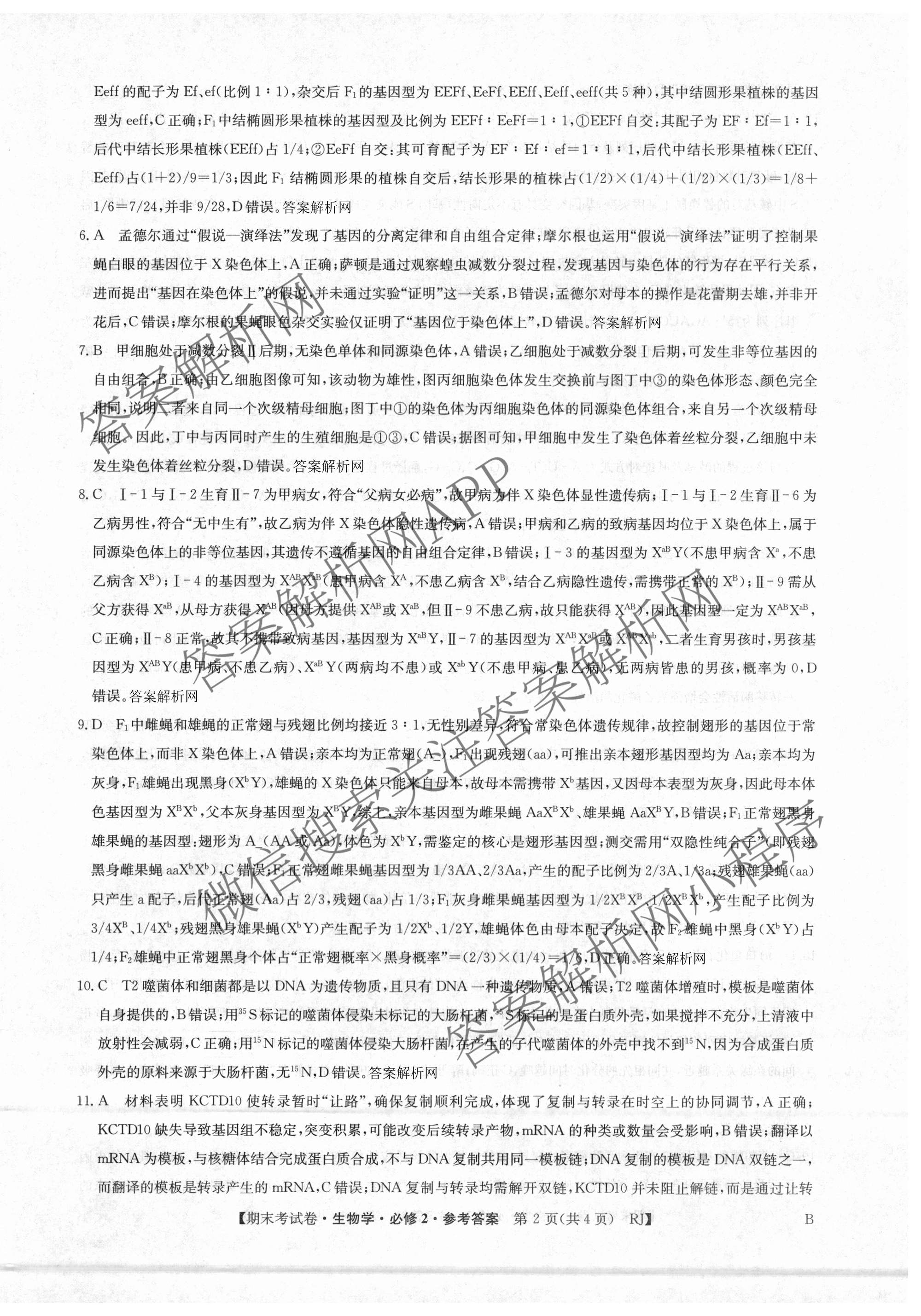 2025~2026学年度高一期末考试卷(下学期)各科答案及试卷（含语文(必修下册) 地理(必修第二册) 数学(必修第二册 RJ)等9份）生物答案