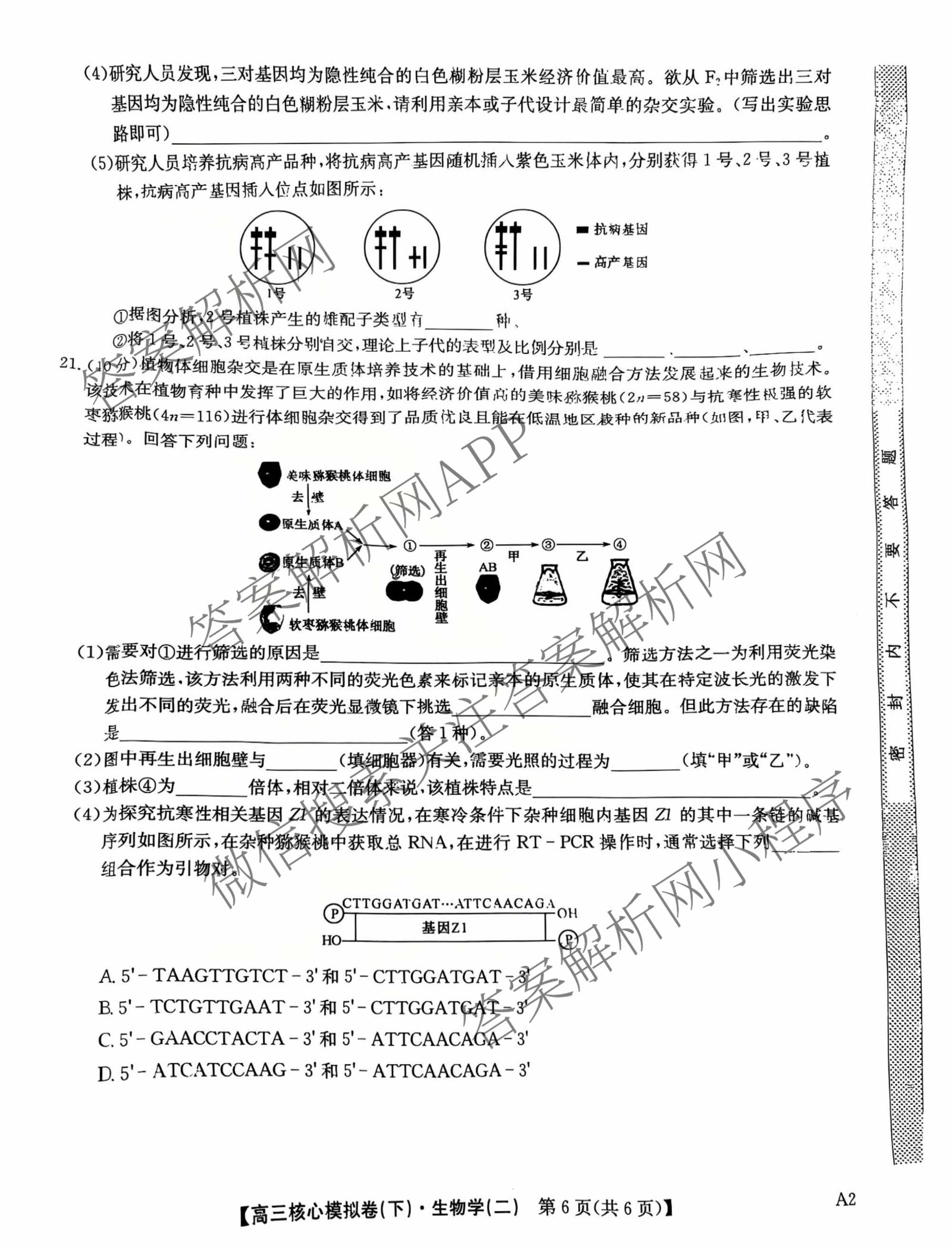九师联盟2024~2025学年高三核心模拟卷(下)(二)2试卷及答案汇总: 含地理(D4) 政治(JX) 生物(JX)试卷解析生物试题