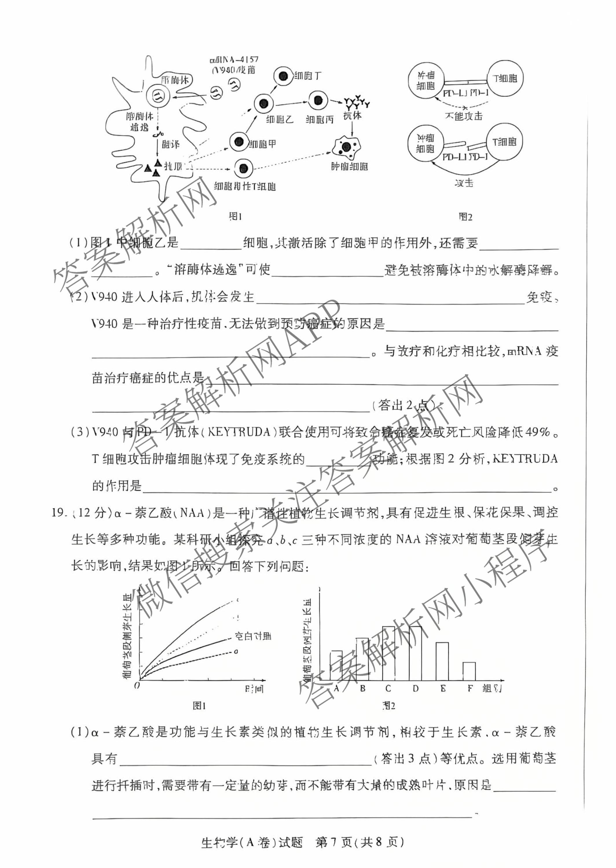  天一大联考安徽2025-2026高二年级12月阶段性检测(无标题)试卷及答案汇总（20科全）生物试题