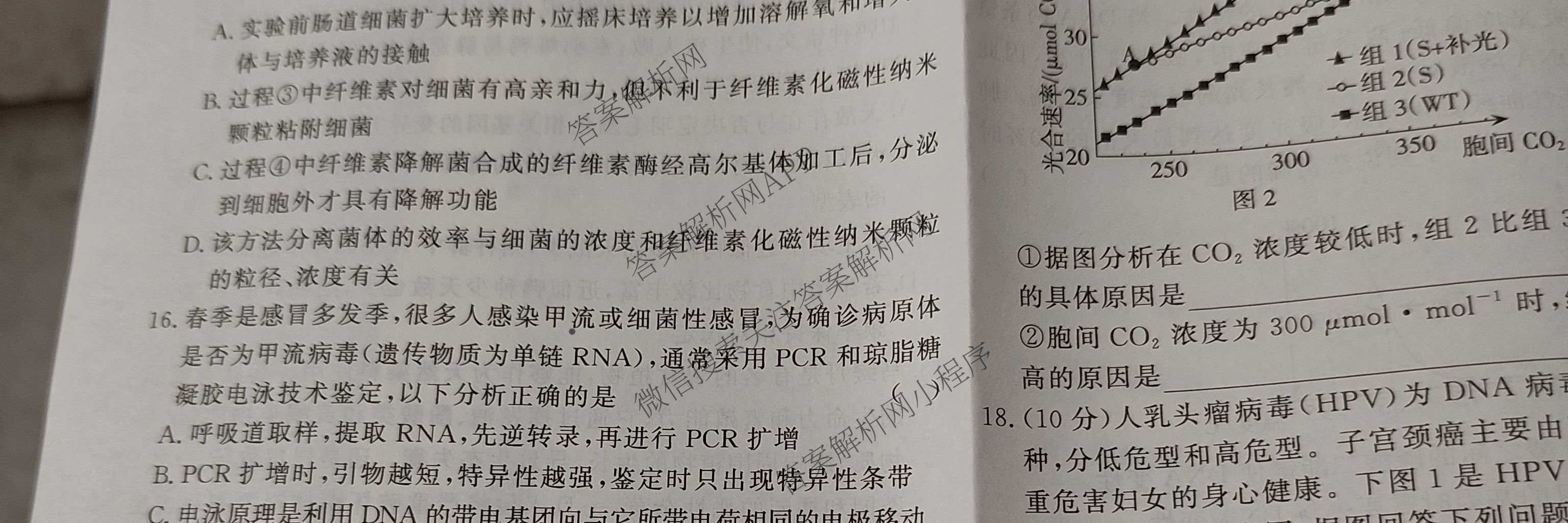 2026高考总复课堂测评 信息冲刺压轴训练(三)3各科答案及试卷（含化学(10) 地理(2) 物理(8)等21份）生物试题