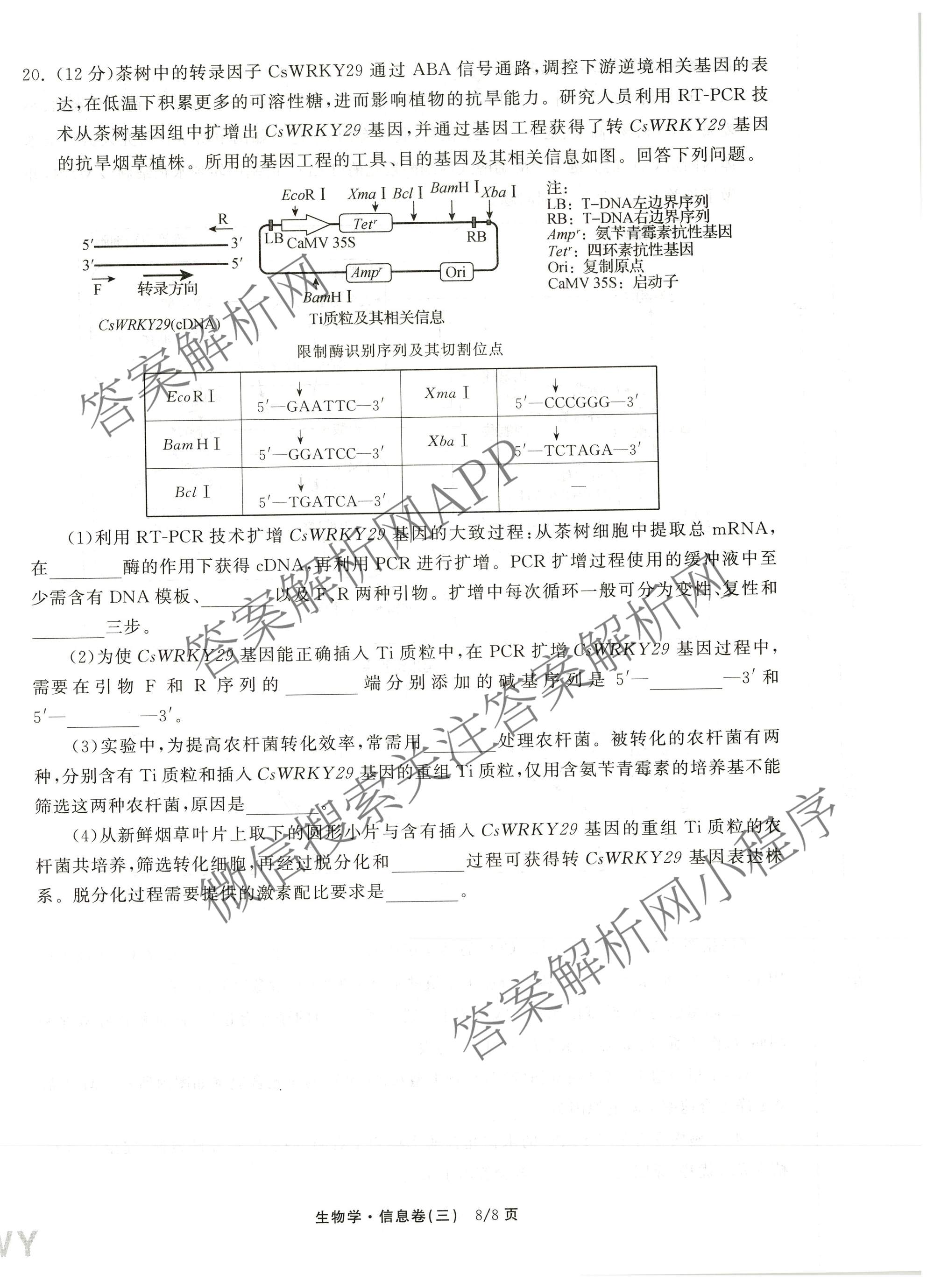 天舟高考衡中同卷2026年普通高等学校招生全国统一考试模拟信息卷(三)3（含历史(HJ) 地理(GY) 数学(无字母)等）生物试题