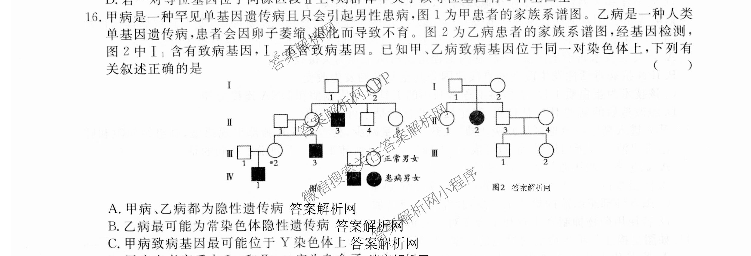 2026届高三总复习名师原创模拟(十二)12试卷及答案汇总（含语文(XS6G) 化学(XS6JG) 历史(新S6J)等）生物试题