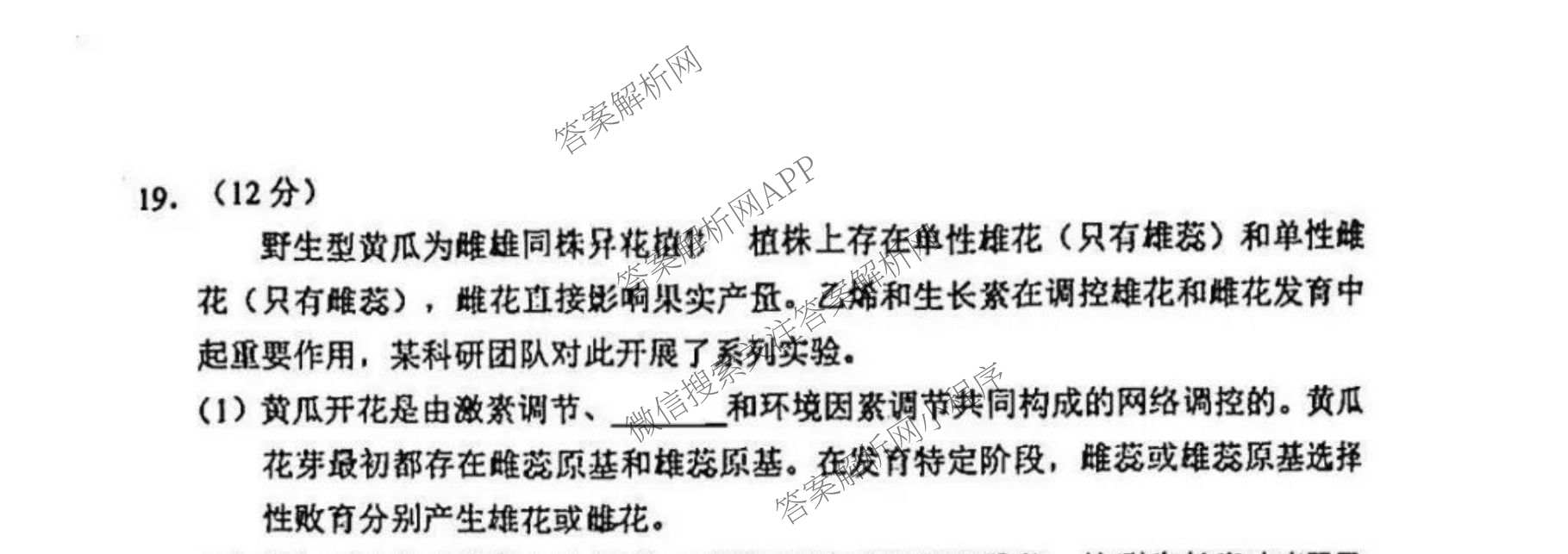 石景山区2026年高三统一练(3月)试卷及答案汇总（含政治 英语 语文等9份）生物试题