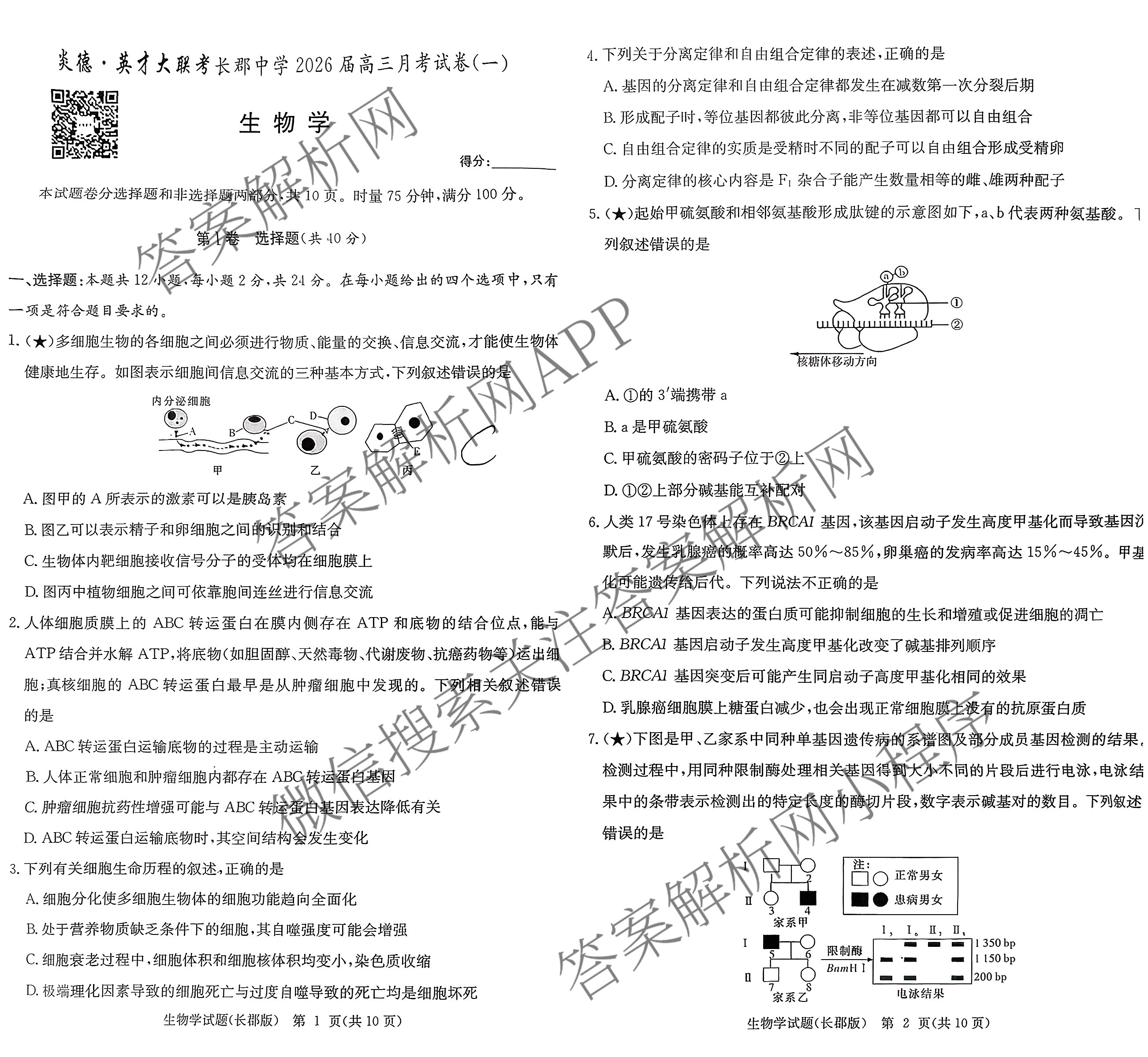 炎德英才大联考长郡中学2026届高三月考试卷(一)1各科答案及试卷（9科全）生物试题