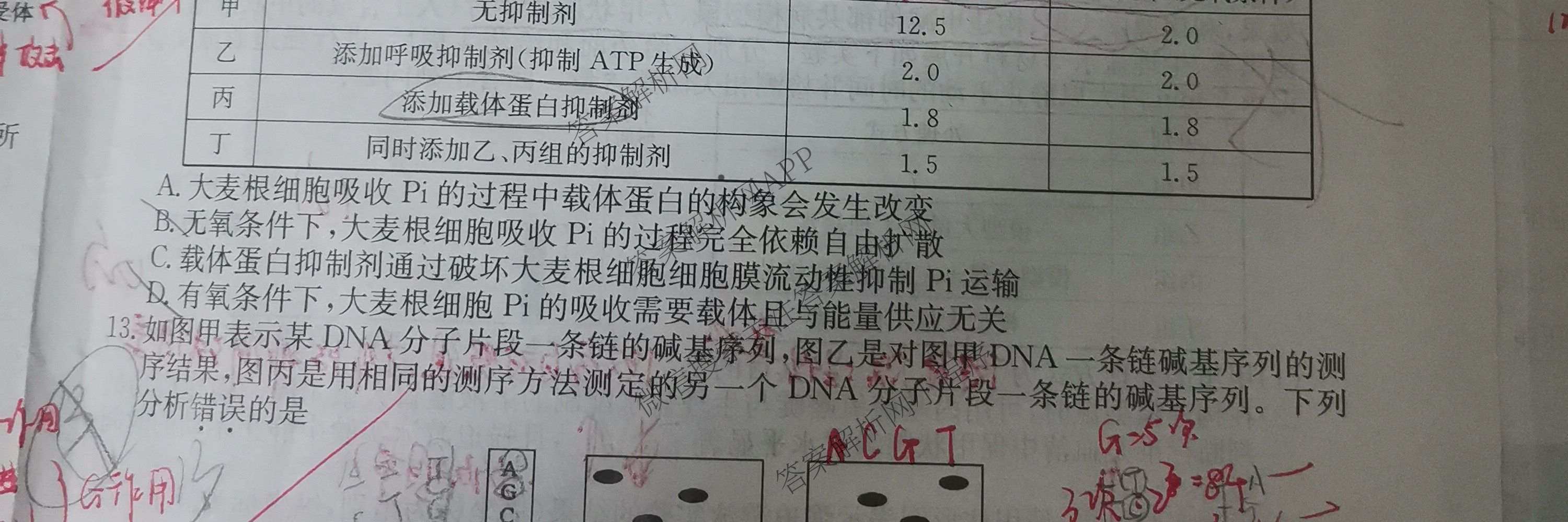 2026年全国高考冲刺压轴卷(二)2（含地理(河南) 地理(湖南) 物理(湖南)等67份）生物试题