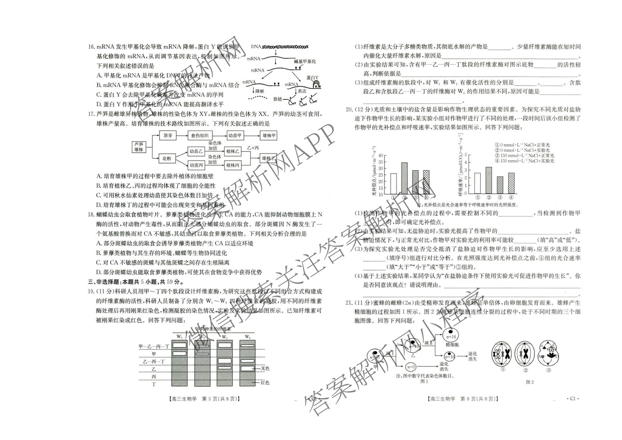 河北省2026届高三年级上学期10月联考(10.27)试卷及答案汇总(含语文、政治(C2)、数学等9份)生物试题 河北省2026届高三年级上学期10月联考(10.27)试卷及答案汇总(含语文、政治(C2)、数学等9份)生物试题