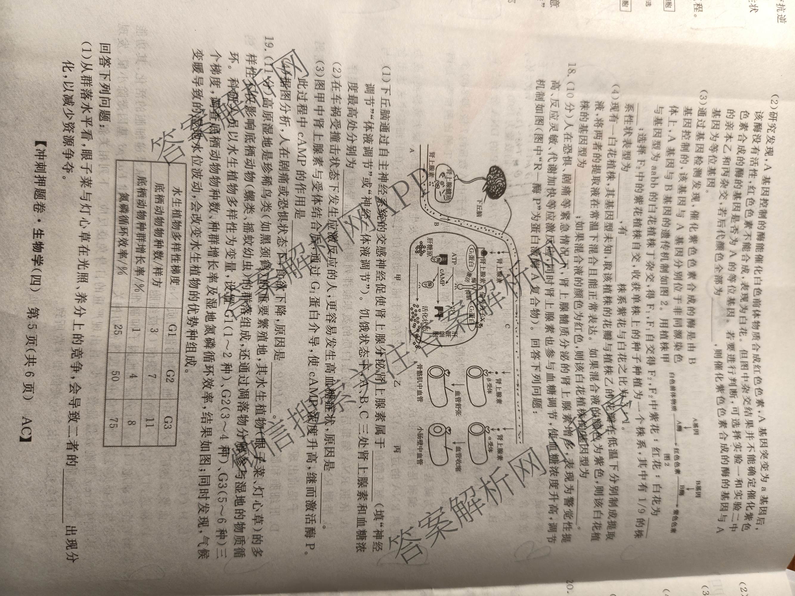 2026普通高等学校招生全国统一考试冲刺押题卷(四)4各科答案及试卷（16科全）生物试题