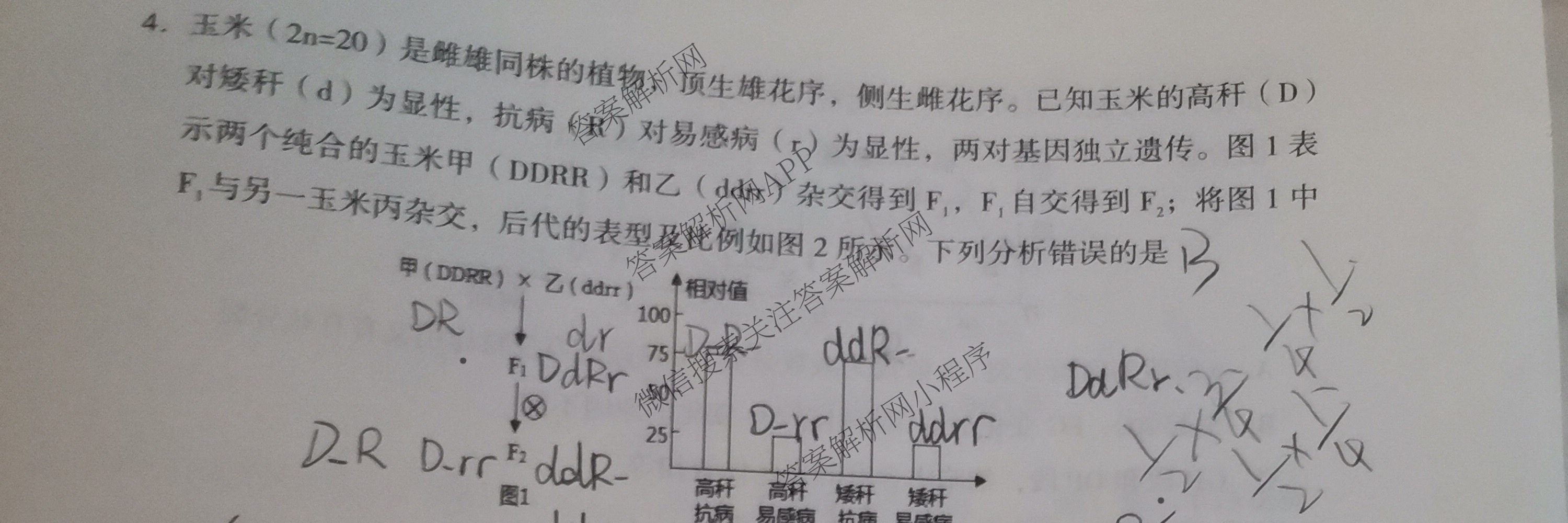 2025年孝义市春季学期高一期中考试试题(卷)各科答案及试卷（含数学、生物、地理等）生物试题