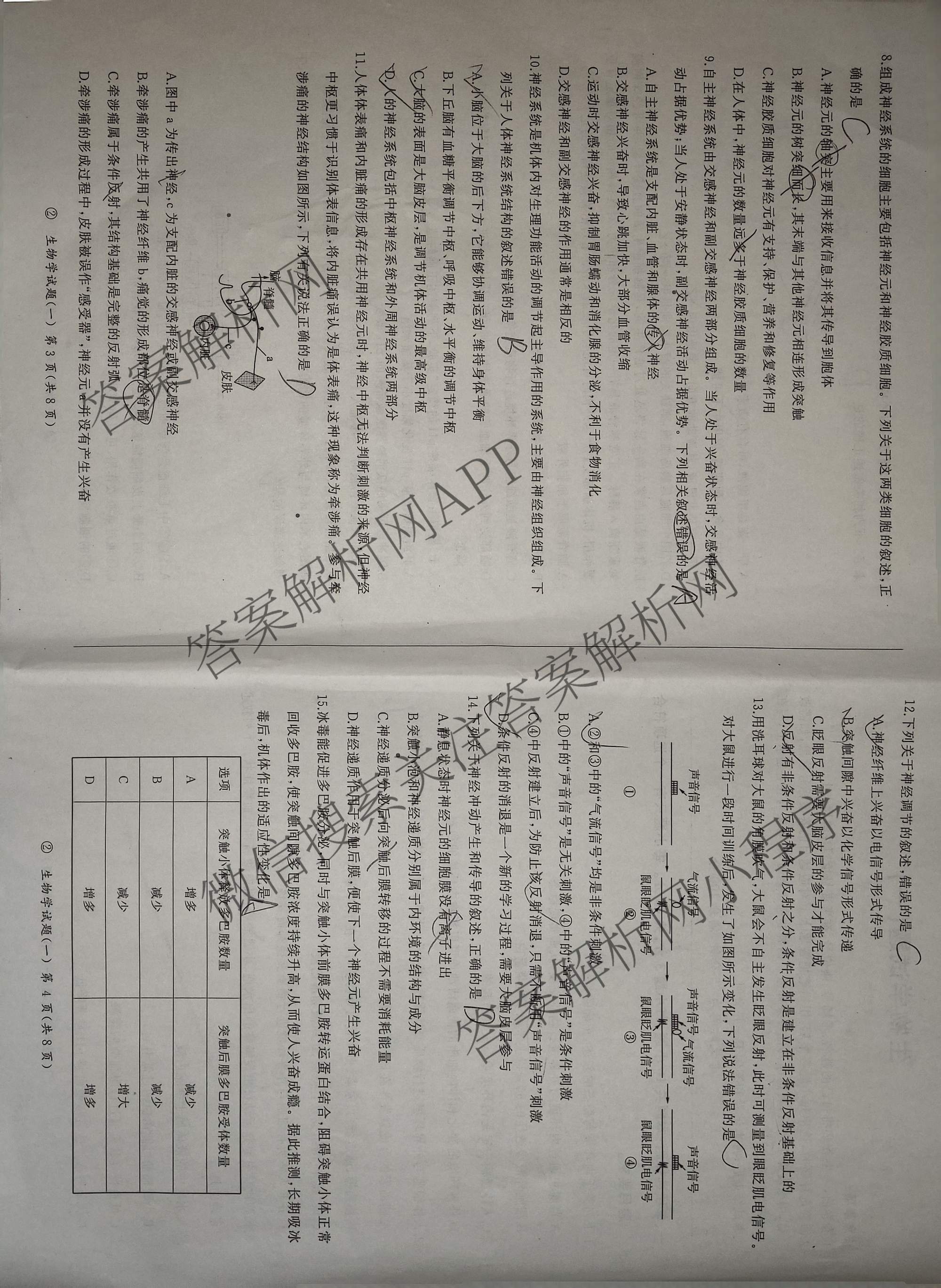 百师联盟2026-2027高二无标题考试(一)(页脚②)(已更新语文 数学 历史等9份)生物试题