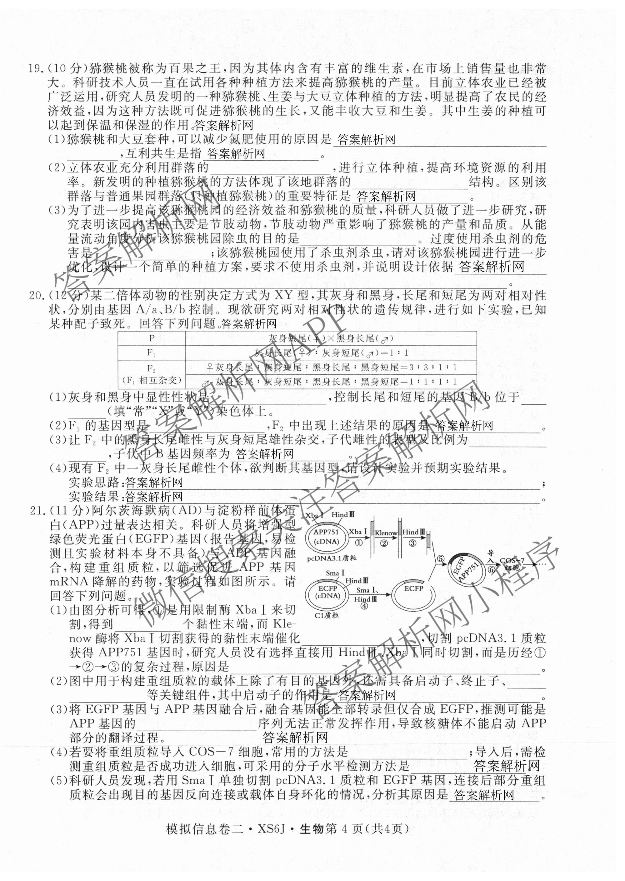 2026年普通高等学校招生统一考试模拟信息卷(二)2各科答案及试卷（含历史(XS6J) 政治(XS6J) 语文(XS6G)等）生物试题