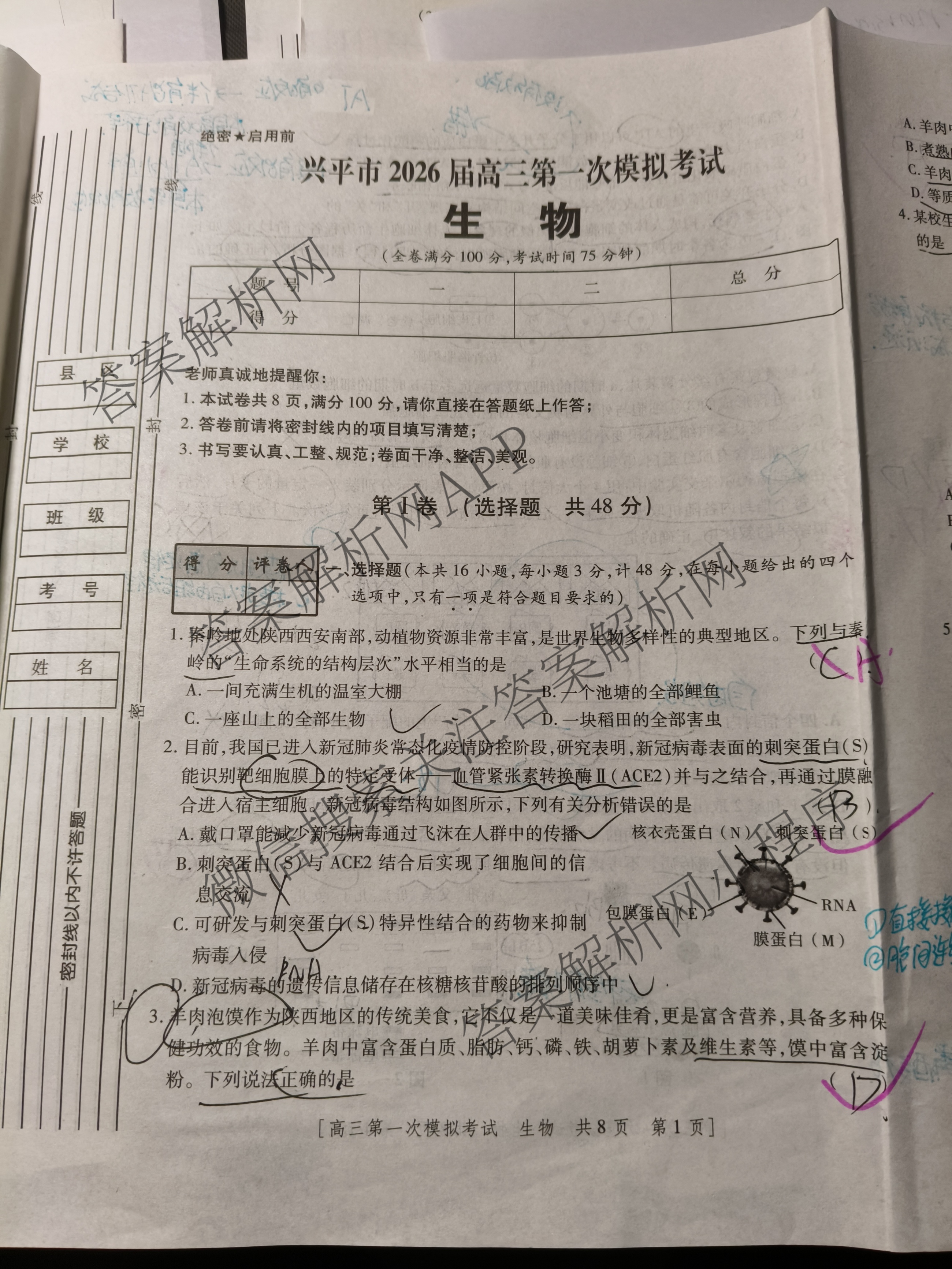 陕西省兴市2026届高三第一次模拟考试（含政治 数学 语文等）生物试题