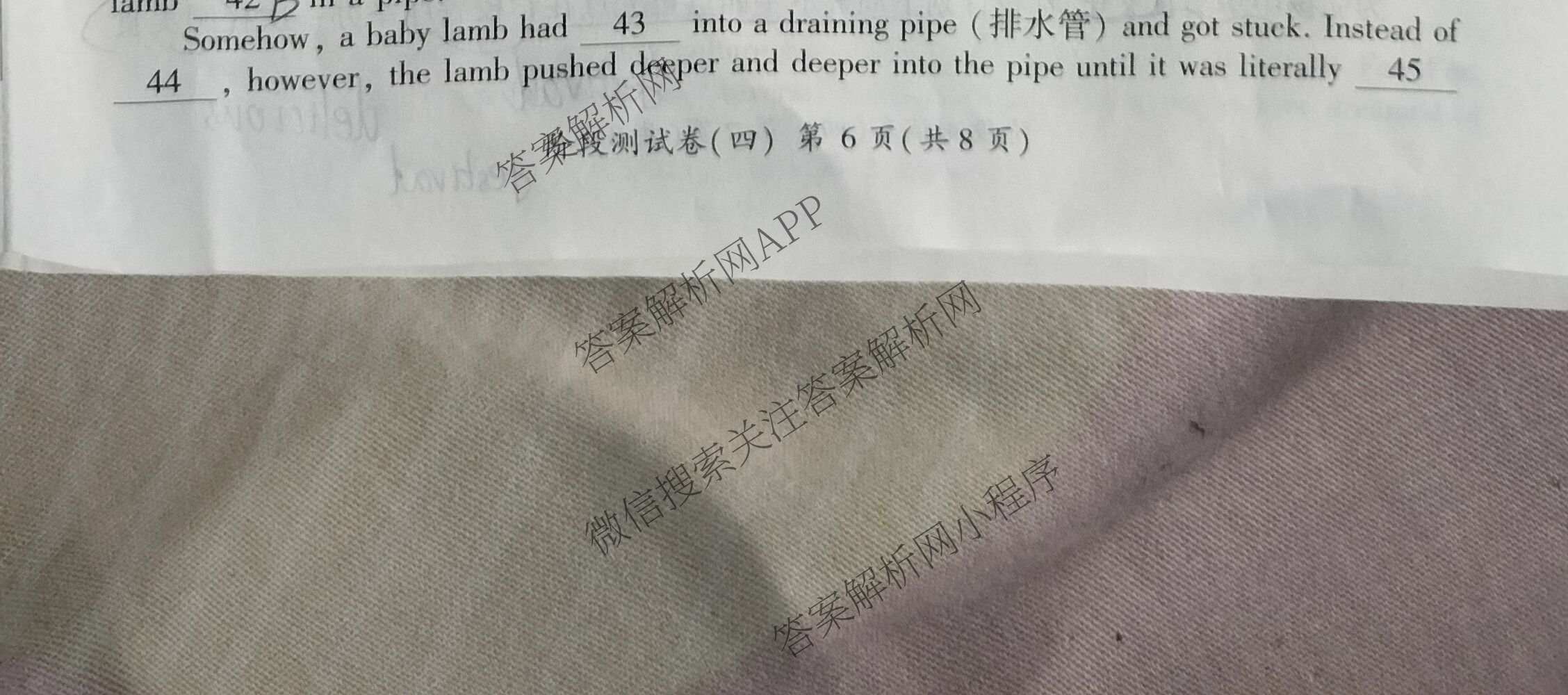 百师联盟2025-2026学年高二下学期阶段测试卷(四)4试卷及答案汇总: 含生物(90分钟多选) 语文 数学(RA)试卷解析英语试题