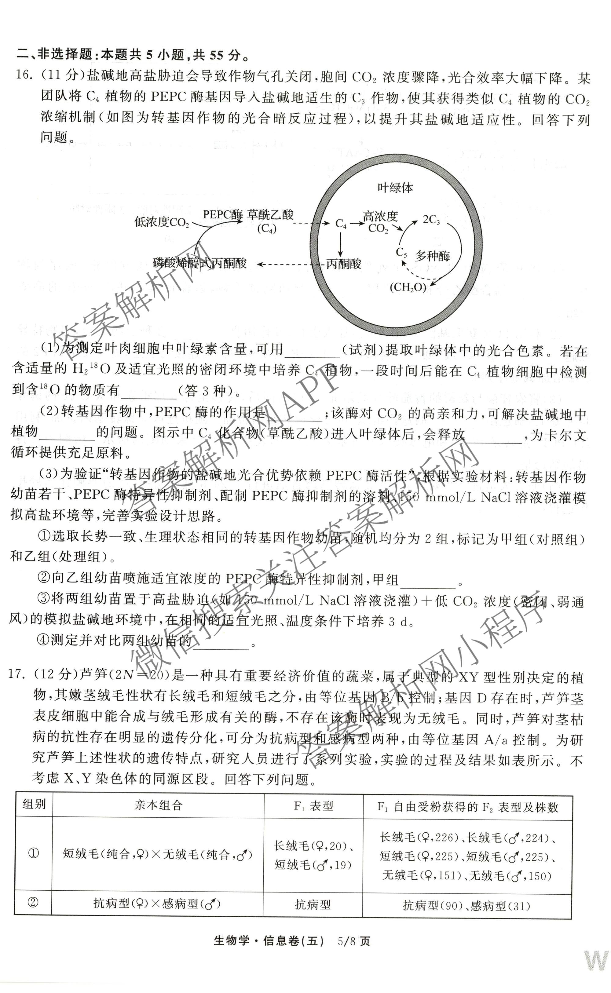 天舟高考衡中同卷2026年普通高等学校招生全国统一考试模拟信息卷(五)5各科答案及试卷（含化学(LE)、地理(WY)、语文(B)等）生物试题