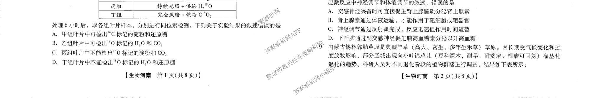 河南新未来2026届高三下学期第一次考试(无标题:科目)各科答案及试卷（含数学、物理、生物(河南)等9份）生物试题
