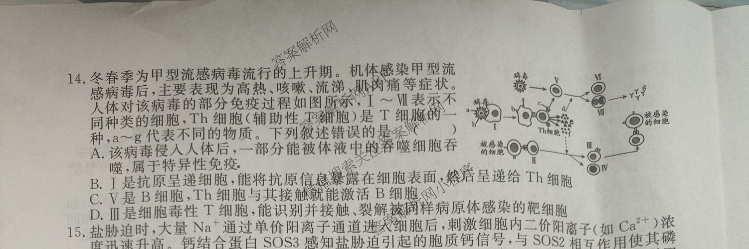 2026届高三总复习名师原创模拟(三)3各科答案及试卷（含地理(XS6J) 物理(XS6JG) 物理(HN6)等）生物试题