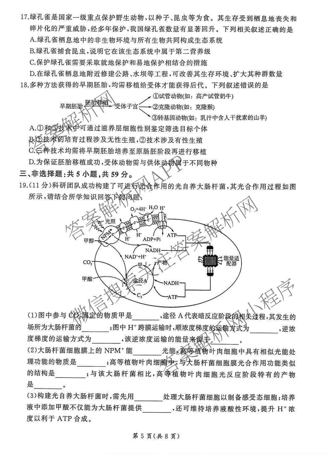 百师联盟2026届高三开年大联考(3.5)(已更新数学(百C)、历史(百N)、历史(百G)等81份)生物试题