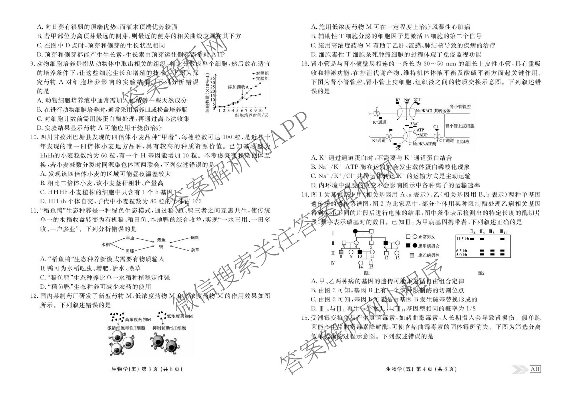 衡水金卷先享题2026年学科素养评价练(五)5(已更新地理(HJ)【河北专版】、地理(HN)【湖南专版】、生物(CY)【四川重庆专版】等90份)生物试题