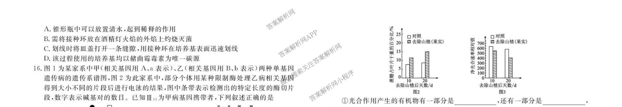 衡水金卷先享题2026年学科素养评价练(五)5(已更新地理(HJ)【河北专版】、地理(HN)【湖南专版】、生物(CY)【四川重庆专版】等90份)生物试题