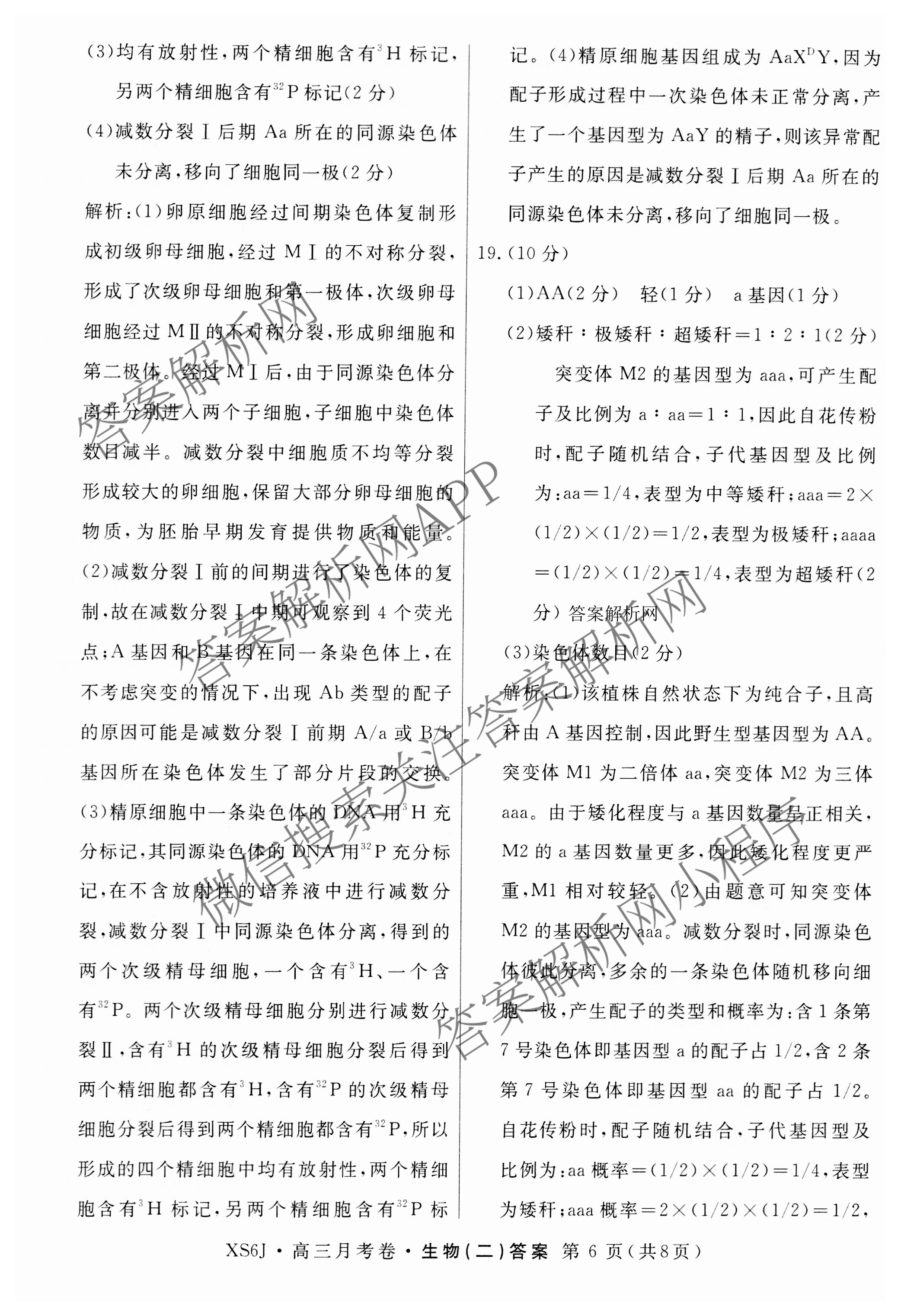 名校联考2026届高三总复月考卷(二)2试卷及答案汇总: 含语文(XS6G) 政治(HEN6G) 物理(XS6J)试卷解析生物答案 名校联考2026届高三总复月考卷(二)2试卷及答案汇总: 含语文(XS6G) 政治(HEN6G) 物理(XS6J)试卷解析生物答案