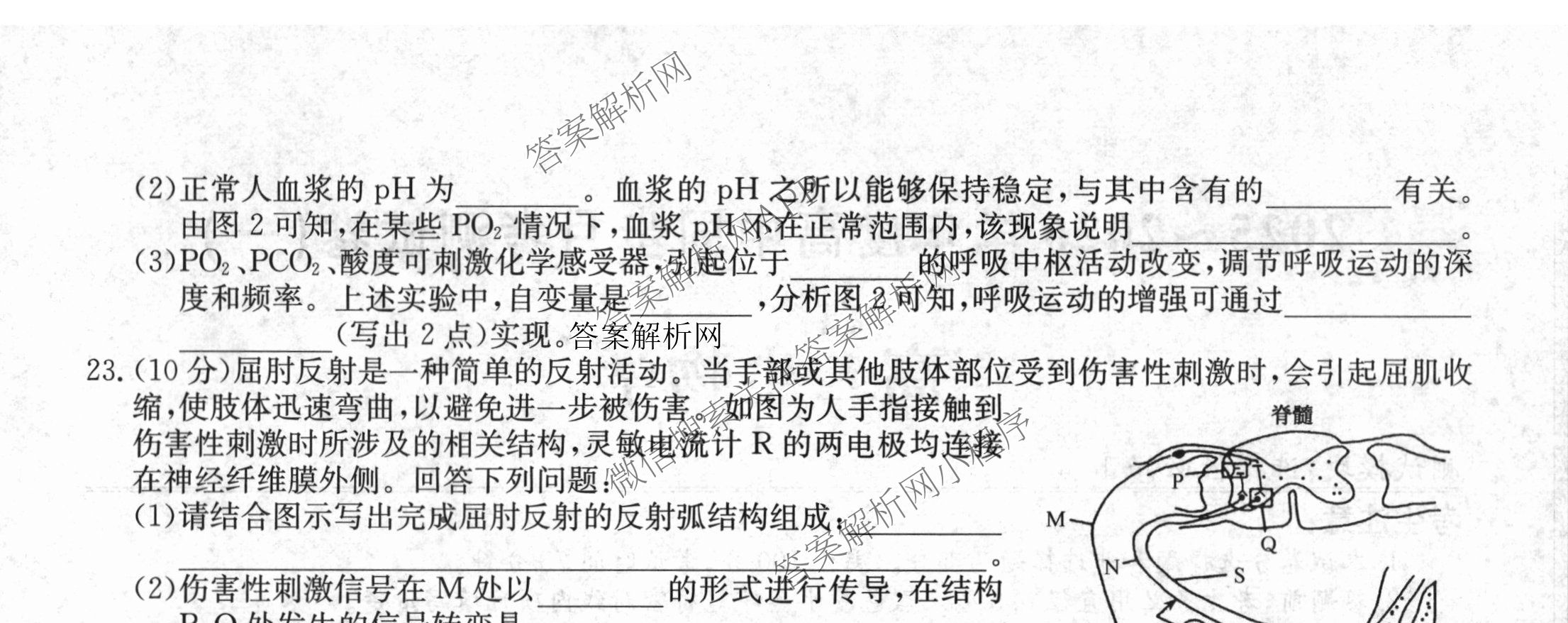 2025~2026学年度高二高中同步月考测试卷(一): 含数学(选择性必修第一册 RJ)、地理(选择性必修1 RJ)、数学(选择性必修第一册 XJ)试卷解析生物试题