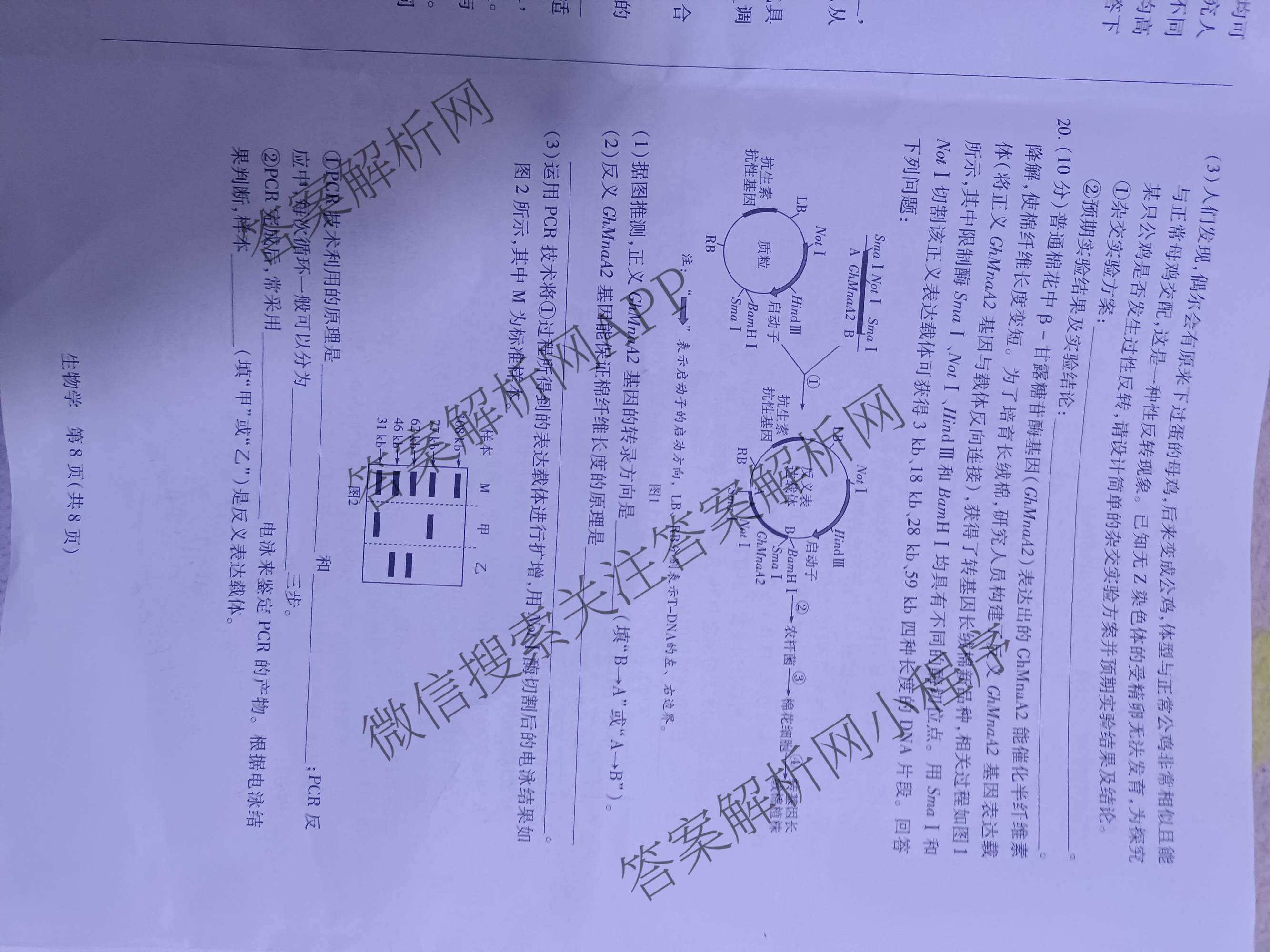 2026届安徽高三3月无标题考试(3.5)试卷及答案汇总(已更新英语、物理、数学等9份)生物试题