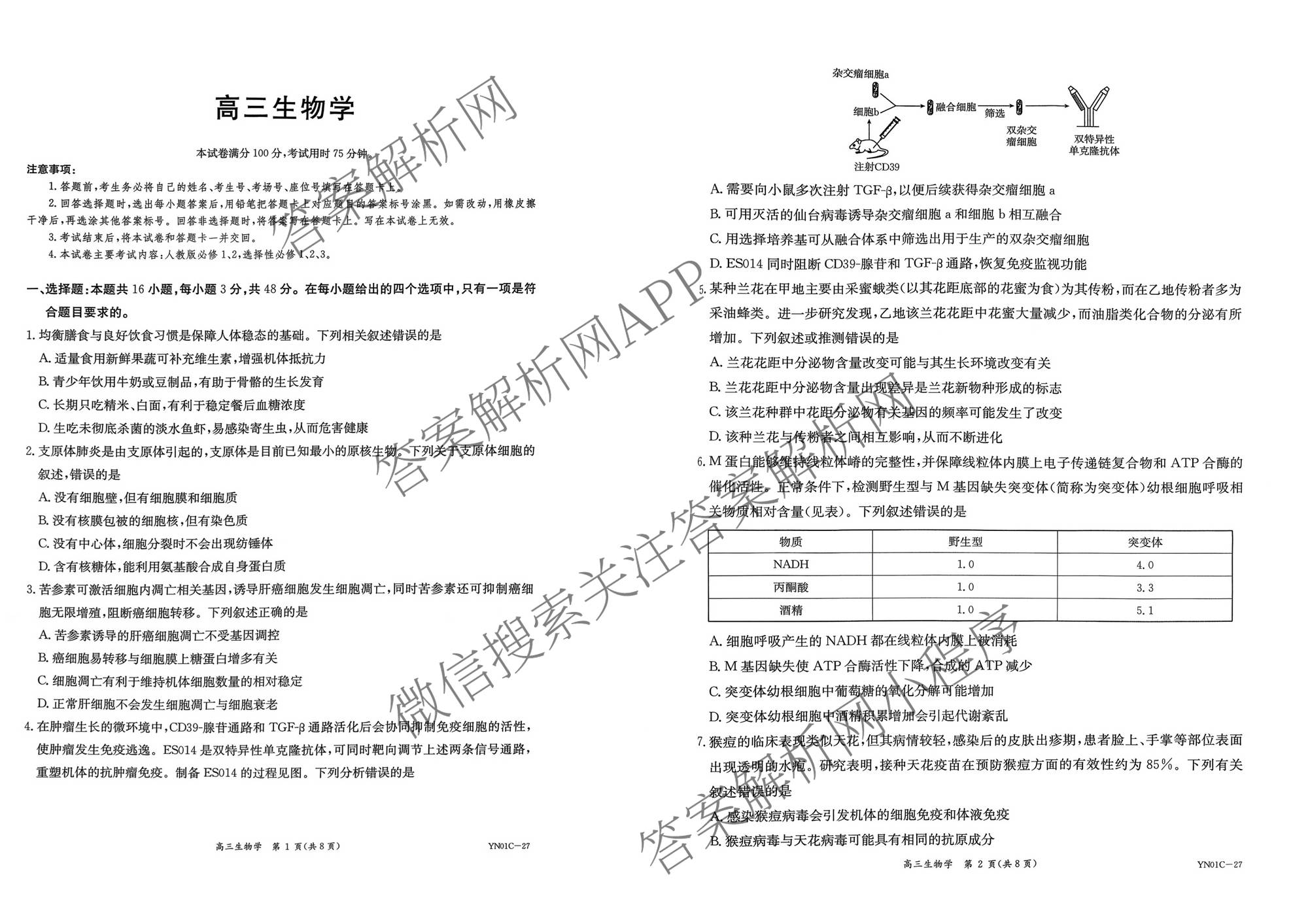 云南省昆明市第一中学2027届高三上学期9月考试(YN01C-27)(已更新政治、历史、英语等9份)生物试题