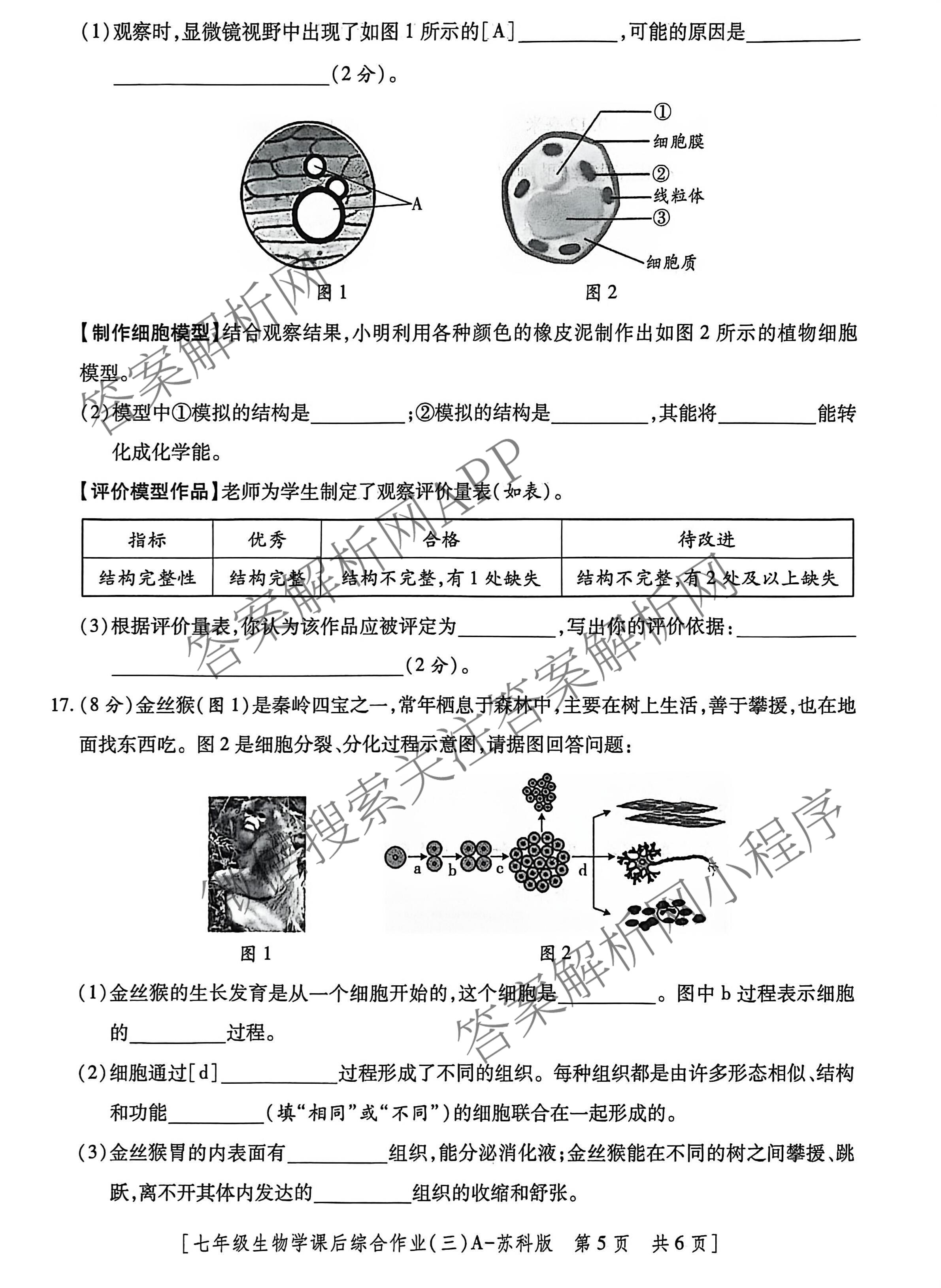 [益卷]2025~2026学年度第一学期课后综合作业(三)[试卷类型A]七年级试卷及答案汇总（含历史、语文(统编版)、英语(人教版)等8份）生物试题