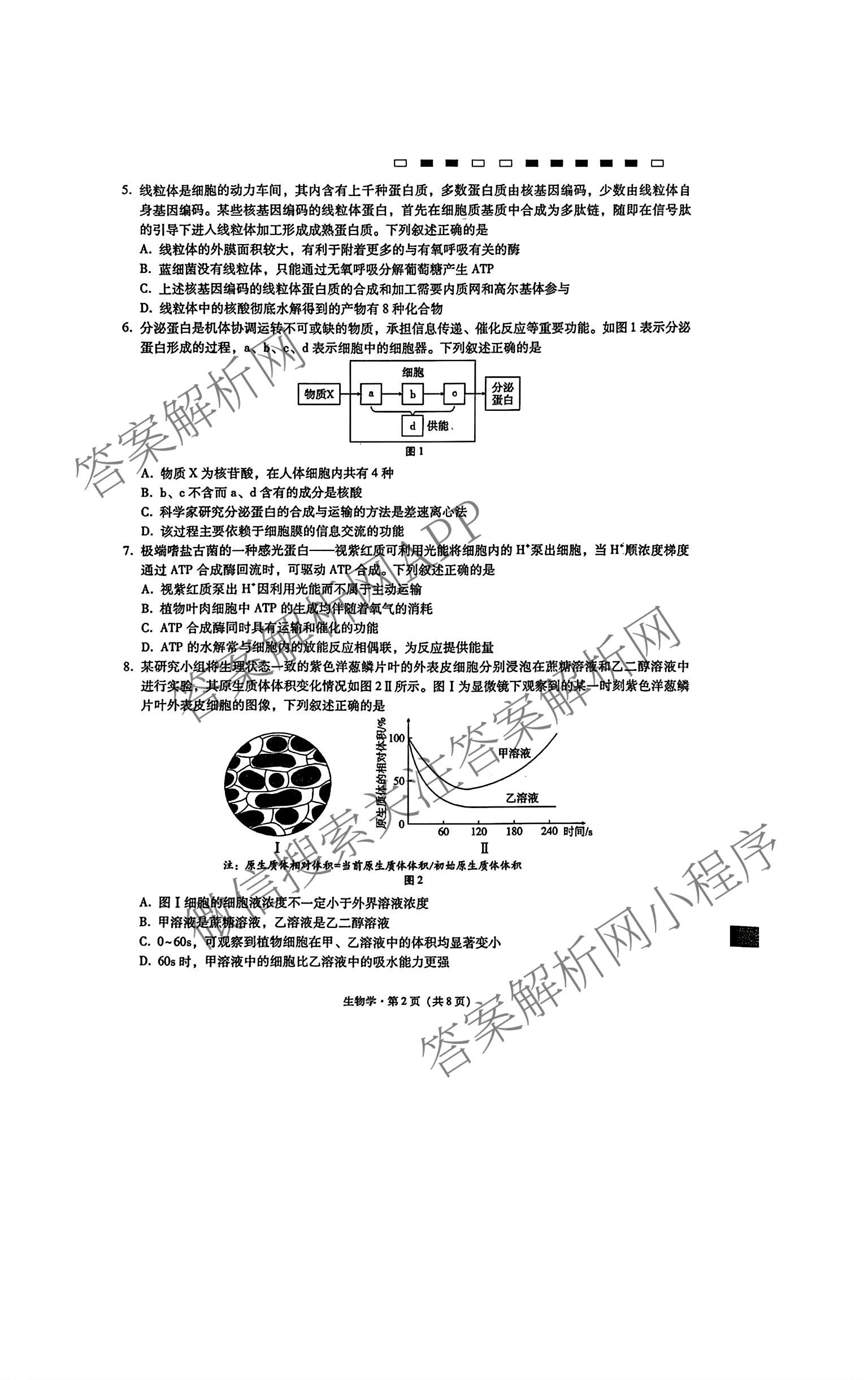 重庆市巴蜀中学2026-2027学年高三上学期开学考试(无标题)各科答案及试卷（含化学 物理 英语等9份）生物试题