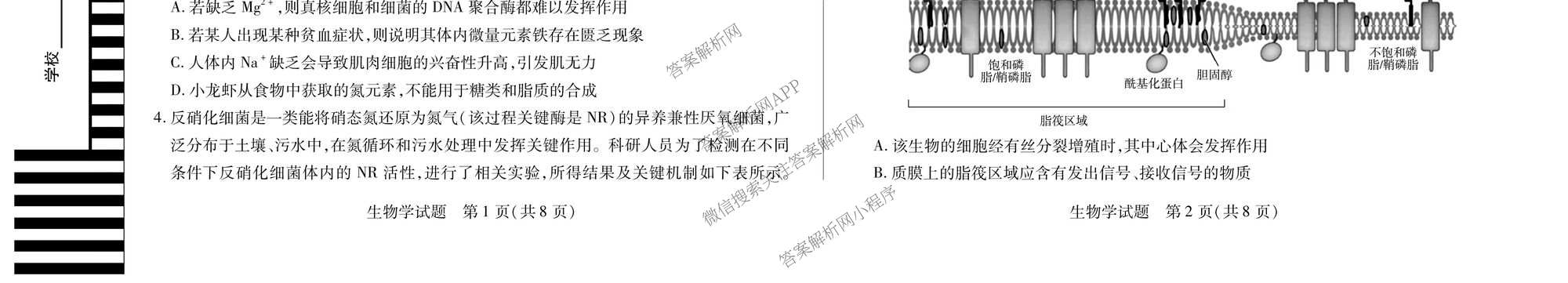  天一大联考2025-2026学年(上)高三阶段性检测试卷及答案汇总(已更新化学、化学(鲁科版)、历史等11份)生物试题