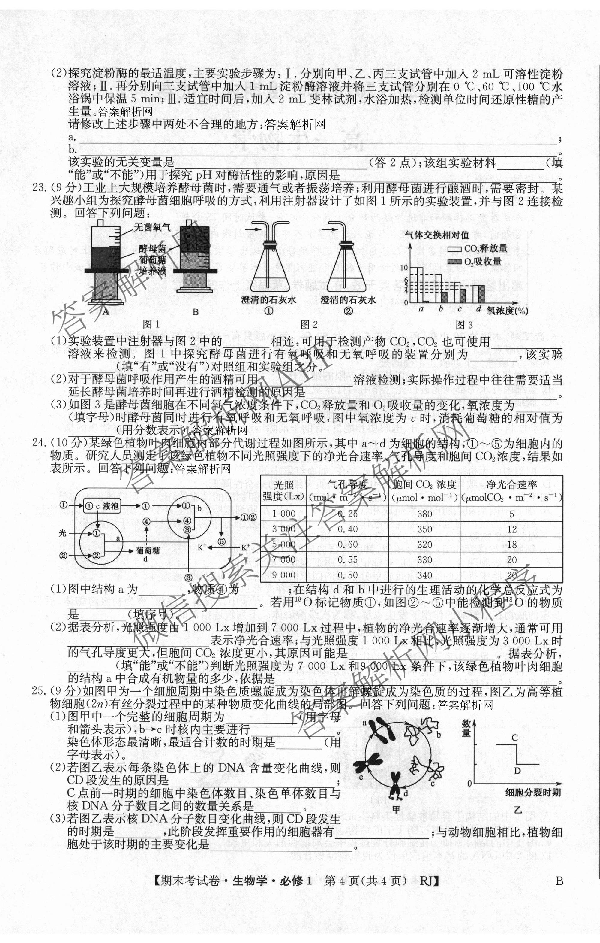 2025~2026学年度高一期末考试卷(上学期): 含历史(必修 中外历史纲要(上)) 化学(必修第一册 RJ) 数学(必修第一册 RJ)试卷解析生物试题