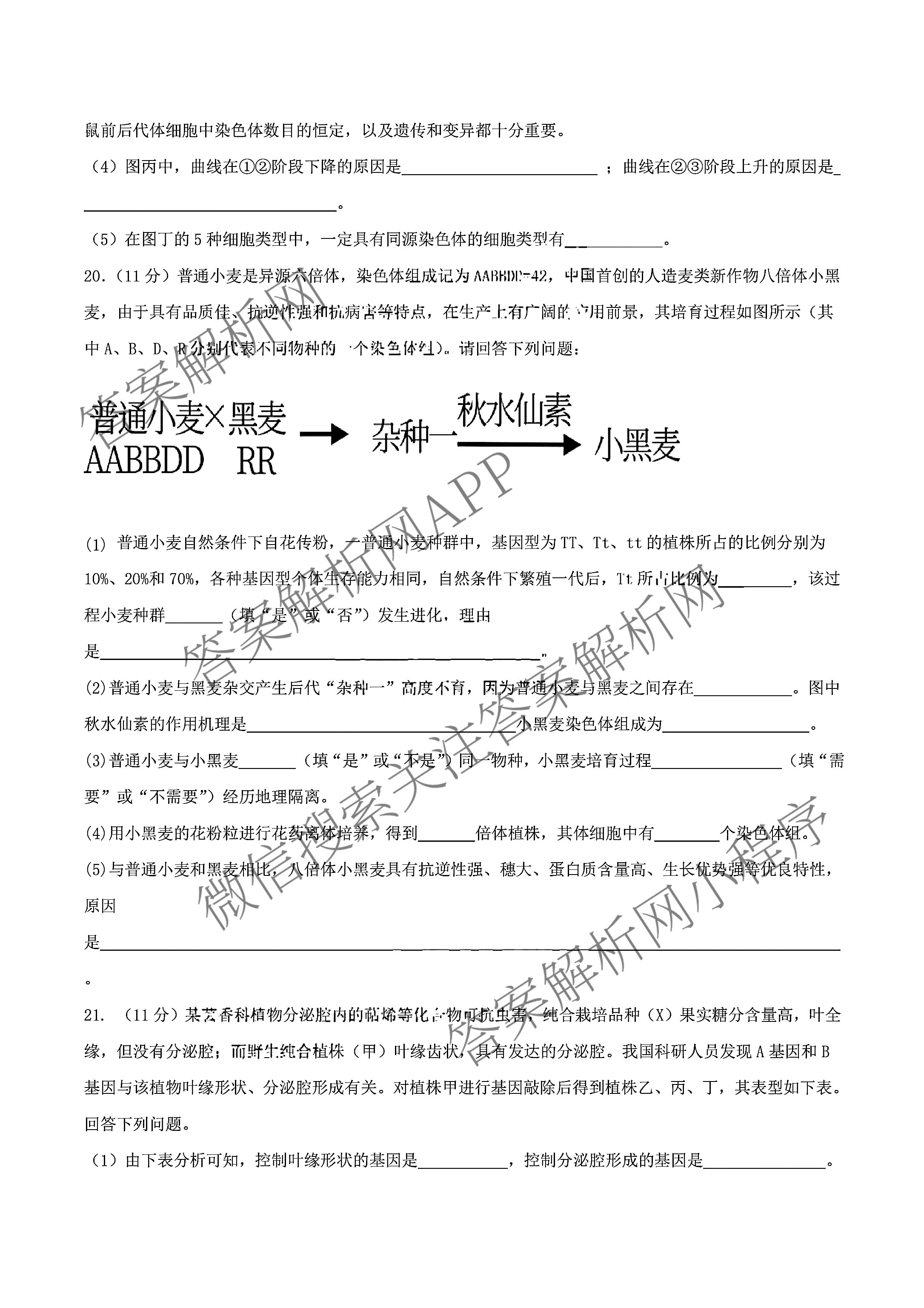 山西省阳泉一中2025年高二分班考试试卷及答案汇总: 含历史、物理、语文试卷解析生物试题