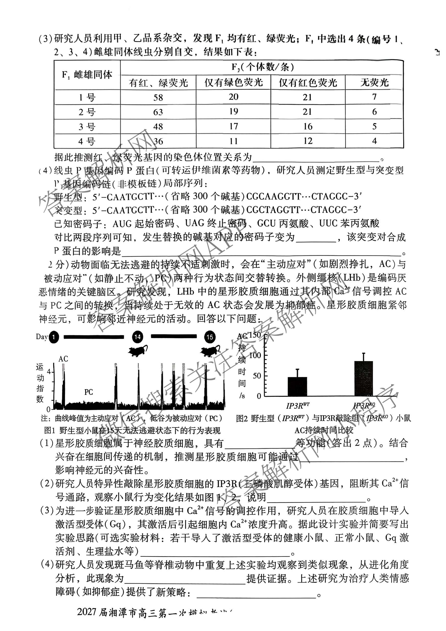 湖南省2027届湘潭市高三第一次模拟考试(8.29)各科答案及试卷（含物理、生物、语文等9份）生物试题