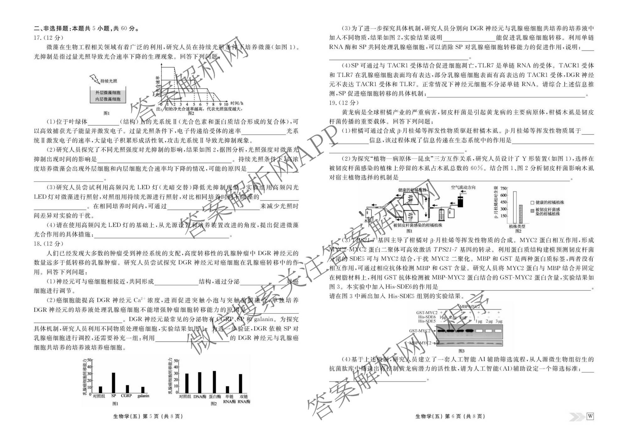 衡水金卷先享题2026年学科素养评价练(五)5(已更新地理(HJ)【河北专版】、地理(HN)【湖南专版】、生物(CY)【四川重庆专版】等90份)生物试题