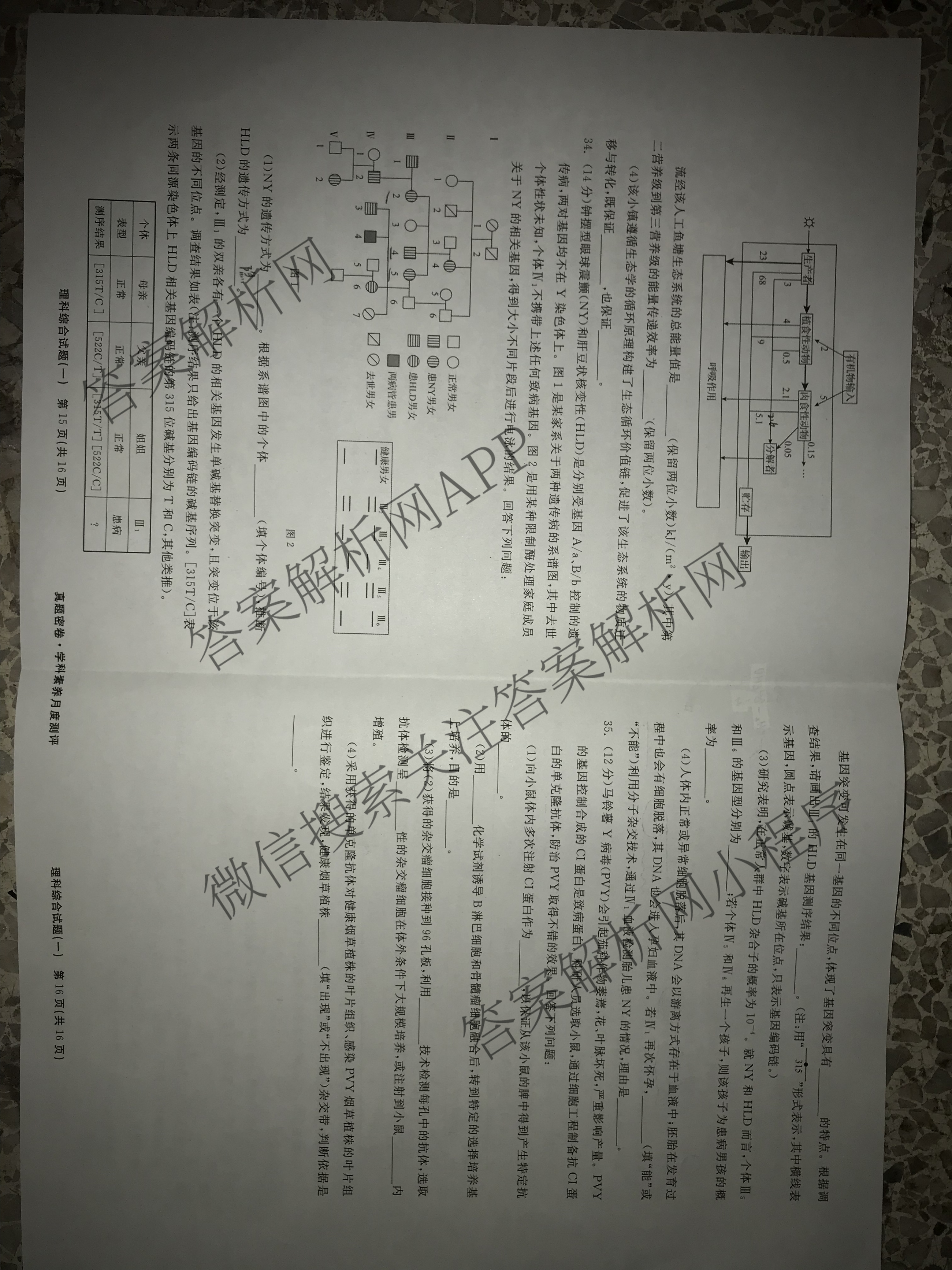 真题密卷2024年学科素养月度测评(一)各科答案及试卷(已更新物理(安徽版)、英语、语文等11份)理综试题