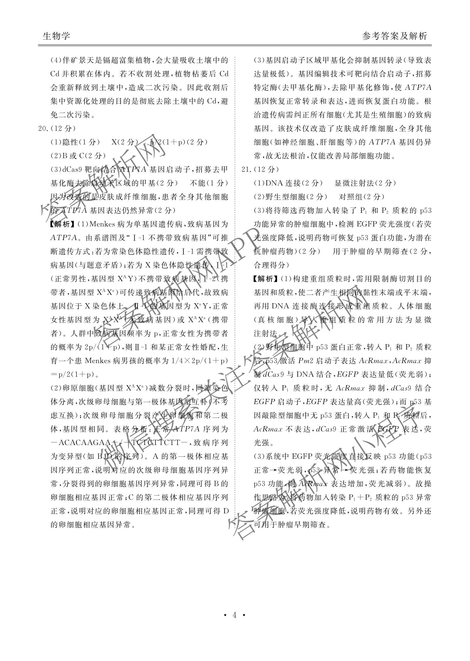 衡水金卷广东省2026届高三年级3月份学情诊断(八校联考)试卷及答案汇总（含日语 生物 物理等）生物答案