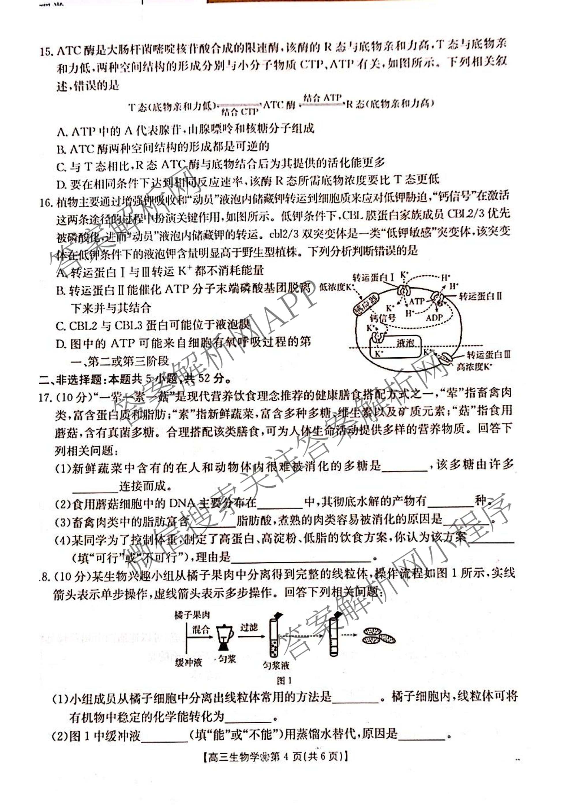 2027届高三9月联考(无标题)(页脚空心花瓣)(已更新英语 化学 数学等9份)生物试题