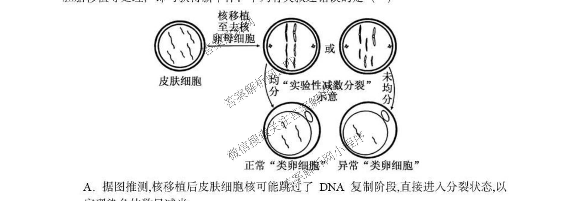 辽宁省2025-2026学年度下学期东北育才学校高三年级假期质量测试暨第六次模拟考试试卷及答案汇总（含政治、生物、英语等）生物试题