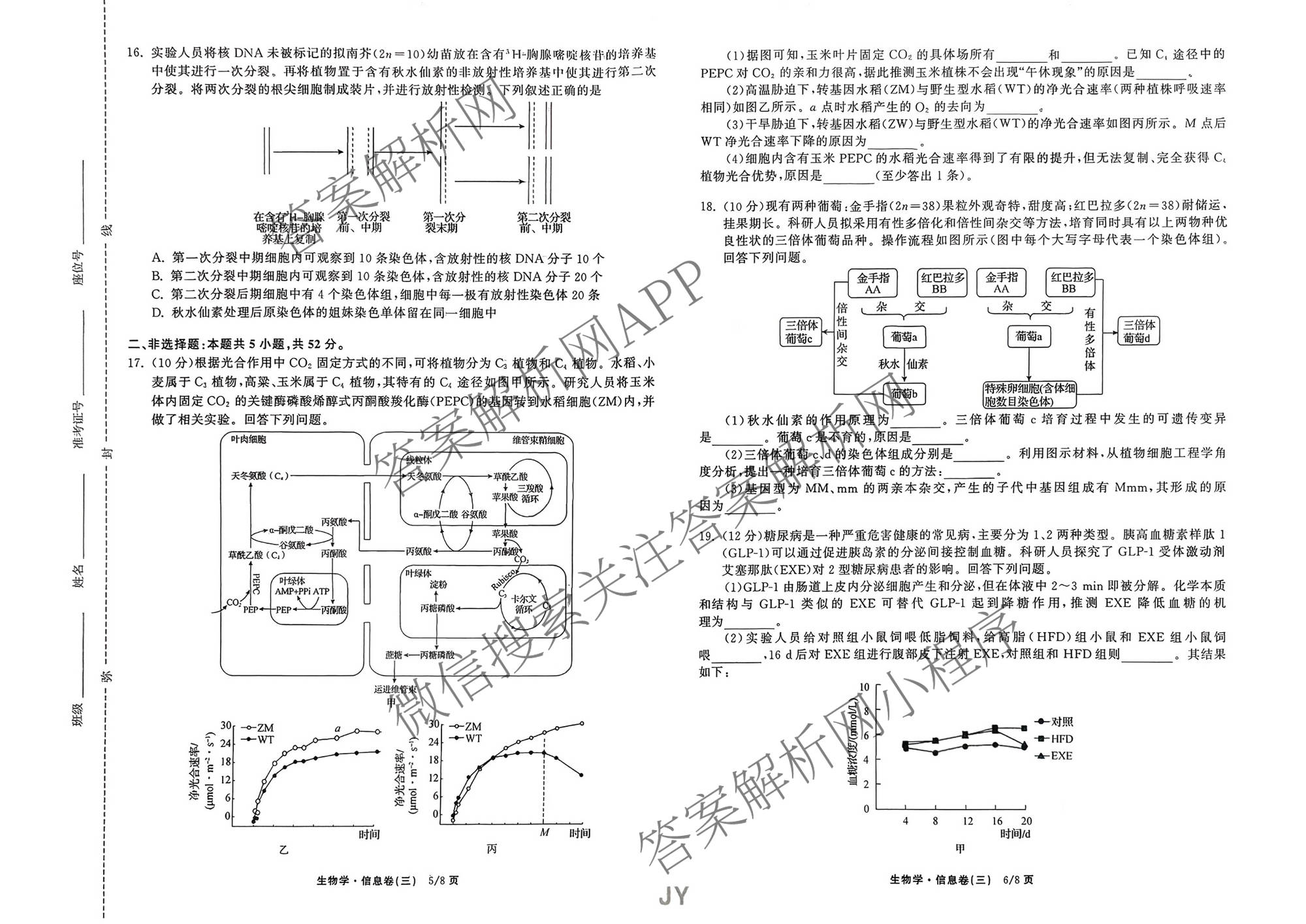 天舟高考衡中同卷2026年普通高等学校招生全国统一考试模拟信息卷(三)3(已更新地理 政治(河南版) 物理(JY)等24份)生物试题
