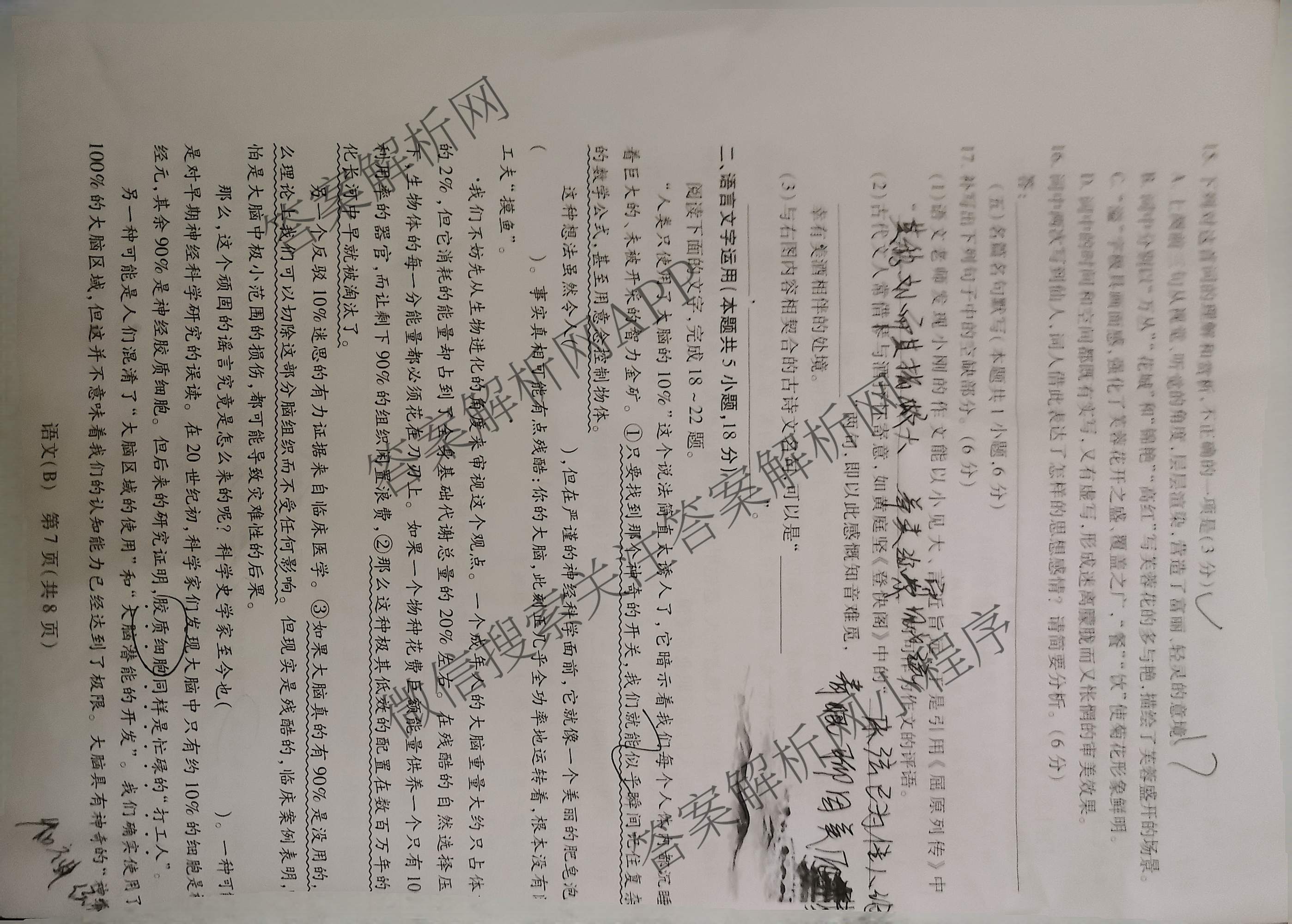天一大联考2025-2026学年高三3月联考(SHAX202603)(3.5)试卷及答案汇总（含数学(B) 数学 物理等27份）语文试题