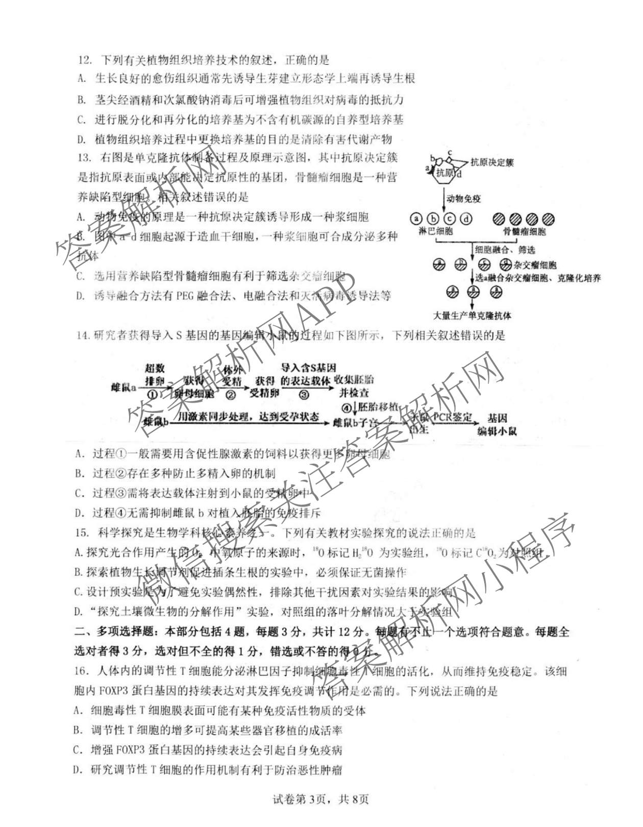 江苏省扬州市高邮市2025-2026学年度第二学期高三期初学情调研测试试卷及答案汇总: 含历史、物理、英语试卷解析生物试题
